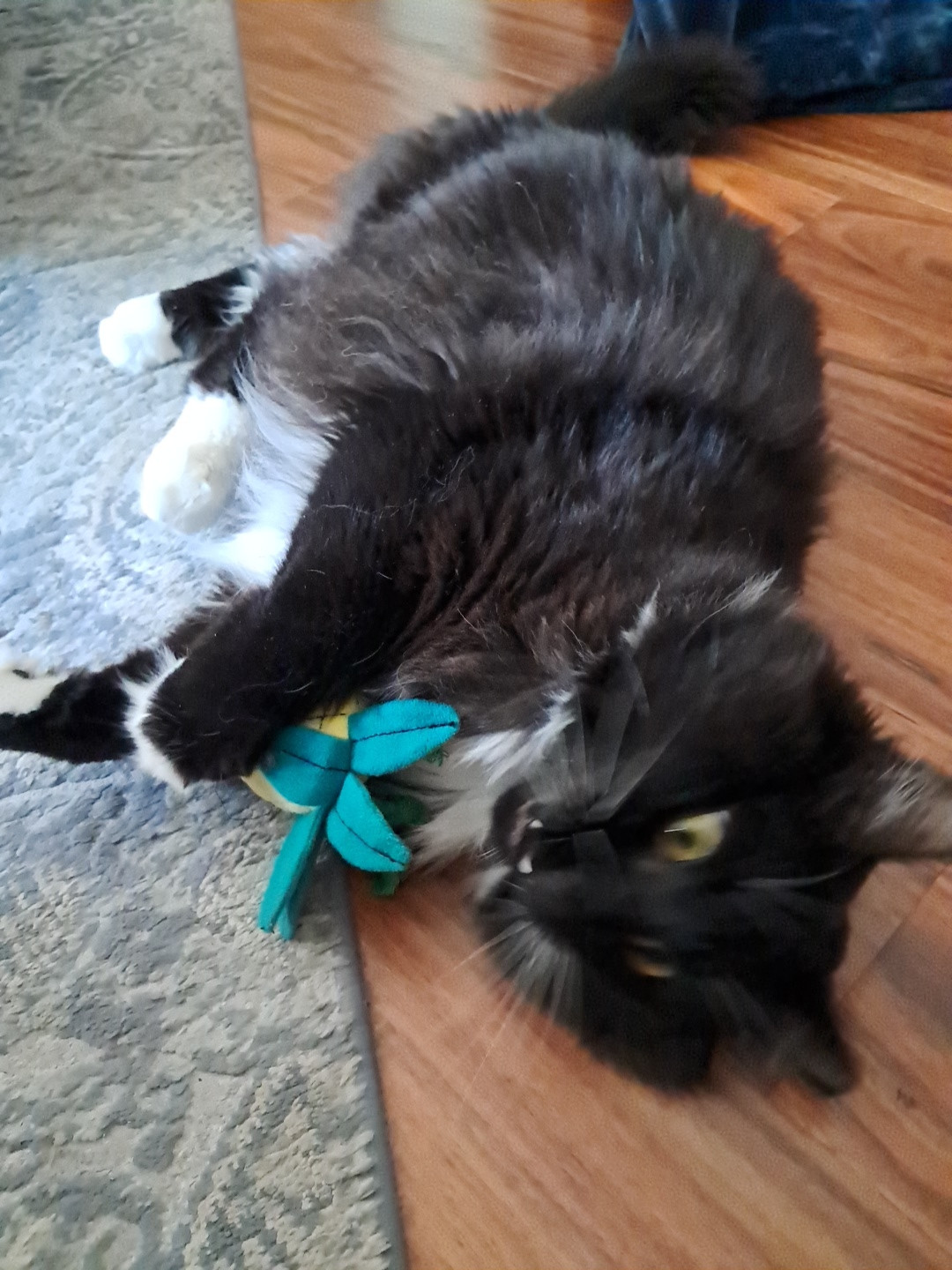 Gladys losing it.
