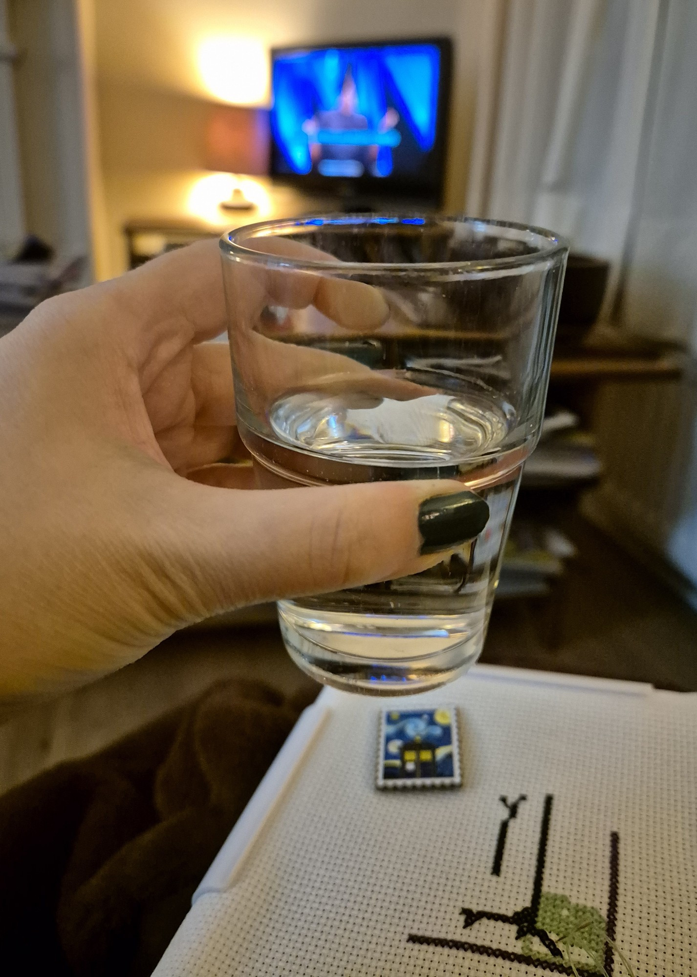 Left hand holding a tumbler of clear liquid. Out of focus television screen and lamp in the background. Black and green embroidery on white fabric to the foreground. 