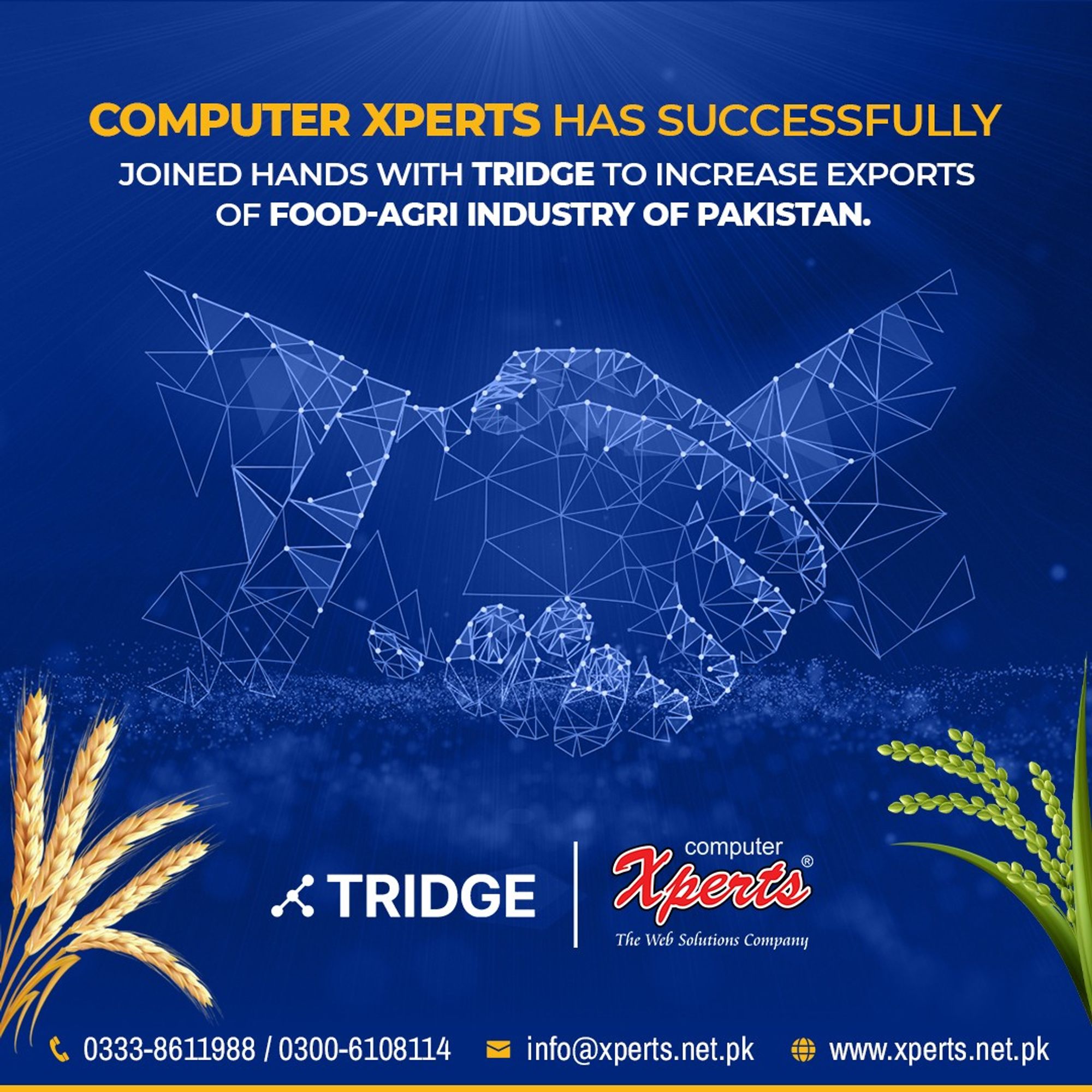 Exciting News! Computer Xperts Partners with Tridge to Boost Food-Agri Exports