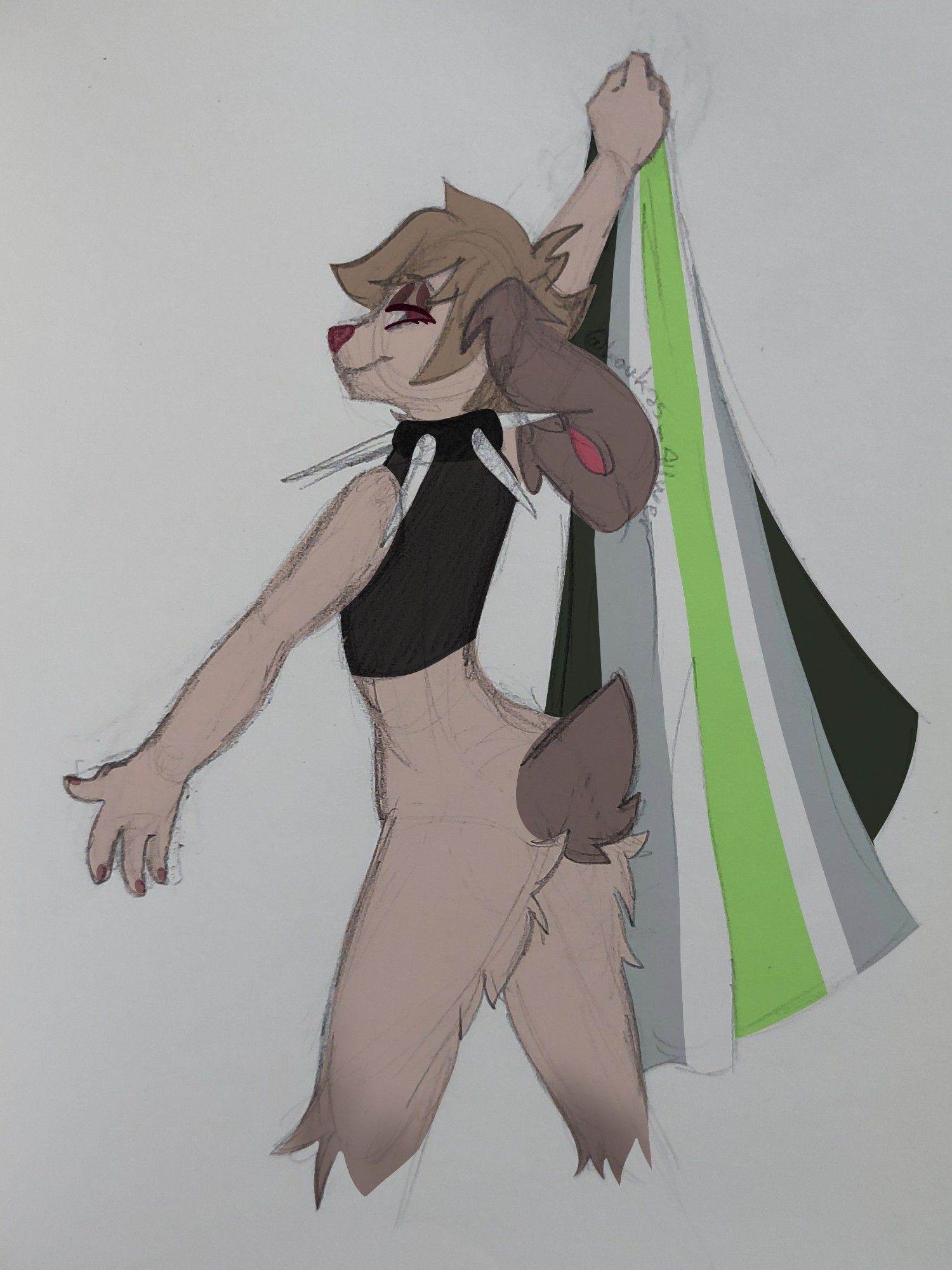 Loukas with Agender Flag