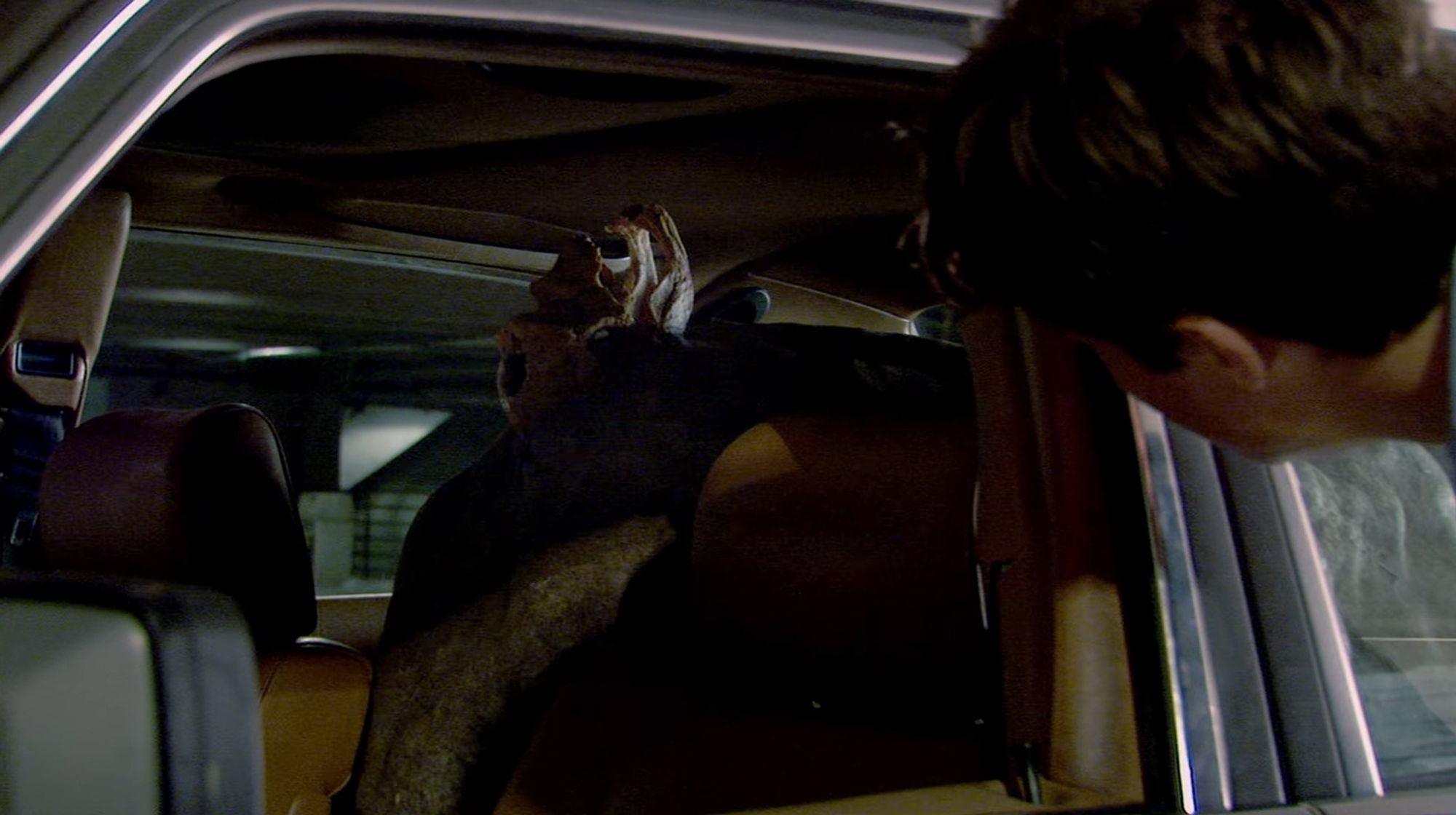 Michael from the series "Arrested Development" peers into an open car window, revealing a large boulder in the back seat with a Neanderthal skull embedded in it