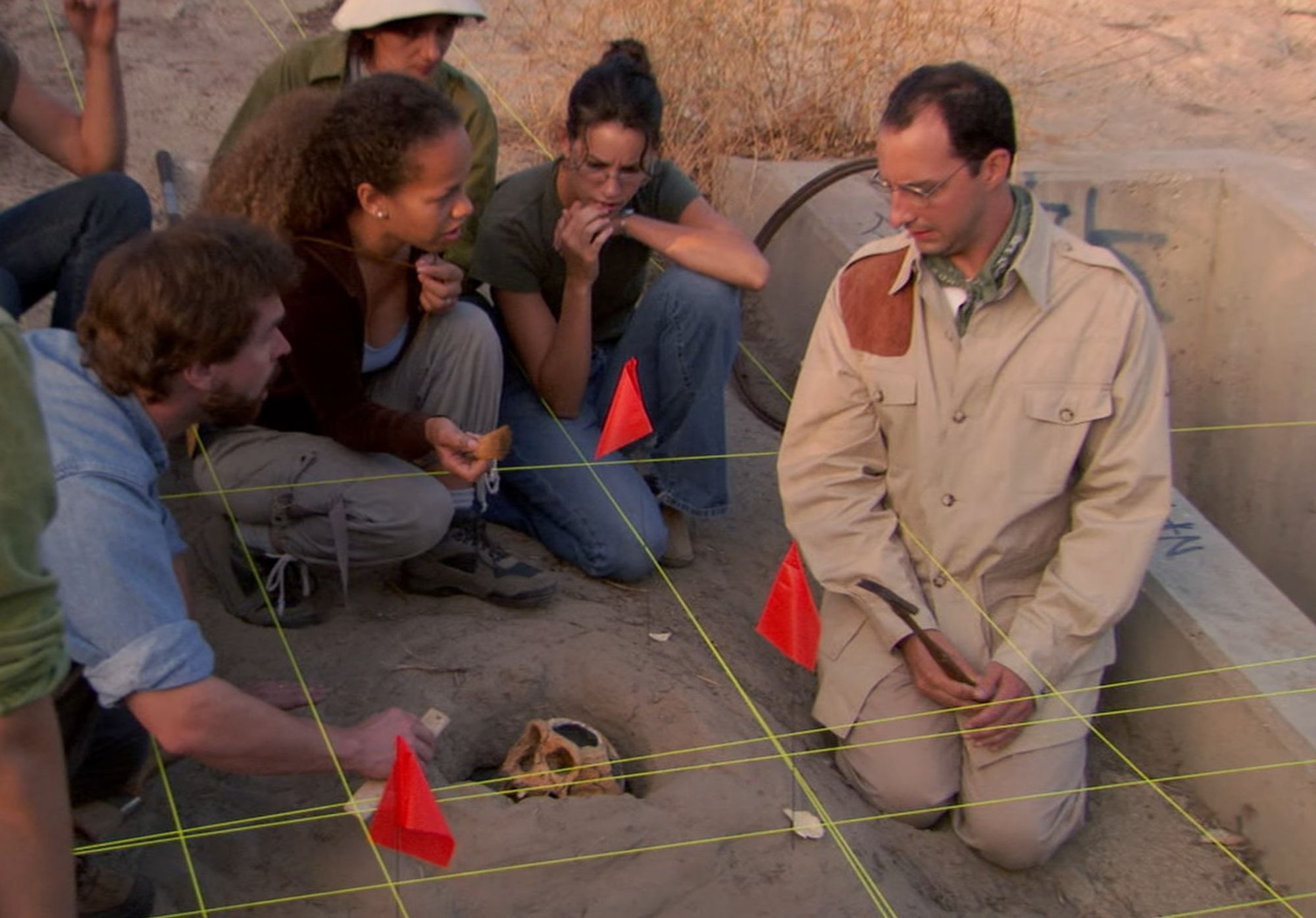 A team of archaeologists sit within a grid of yellow strings and orange flags around a Neanderthal skull, staring incredulously at Buster Bluth, dressed in all khaki, who has just carelessly smashed the skull with a geological hammer