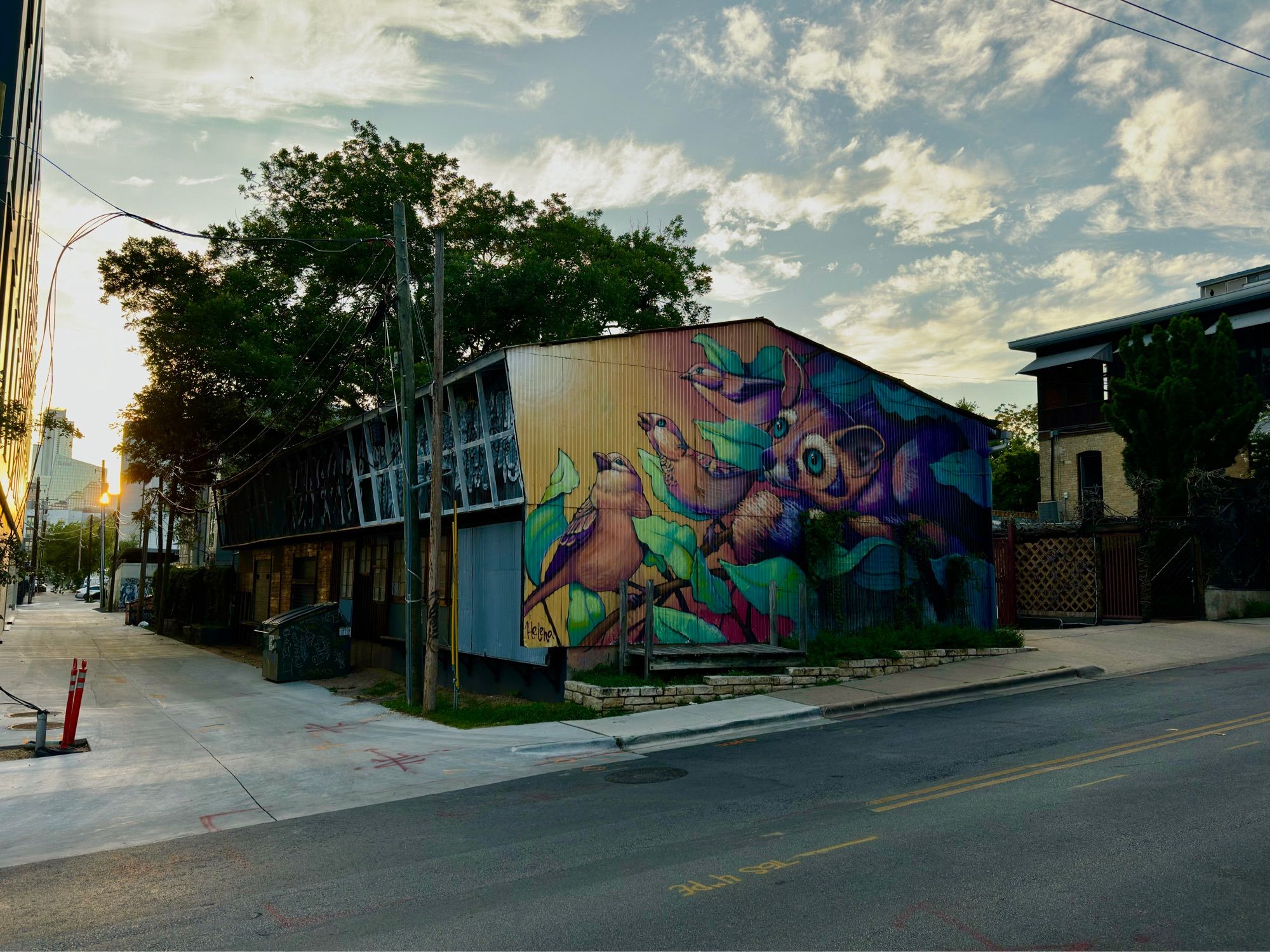 Photo of mural downtown Austin with birds and a lemur (?) painted