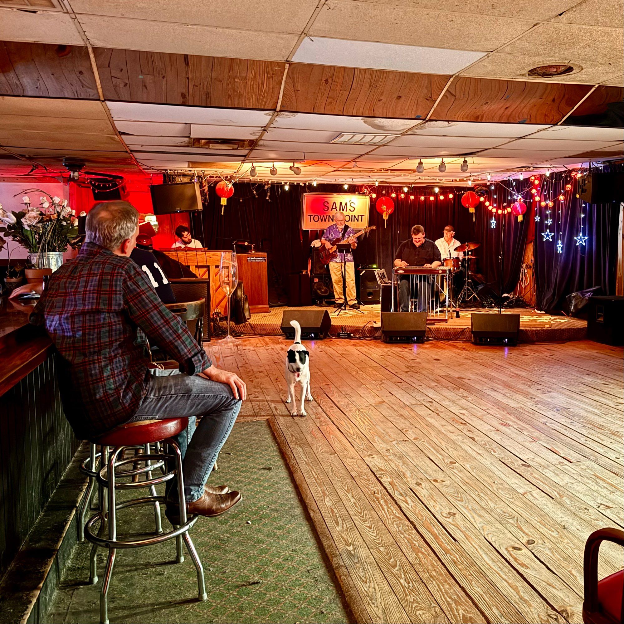 Steel night at Sam’s town point. Honky tonk. In the photo is a man sitting at the bar watching the band. A lone black and white dog is in the center of the dance floor. On the stage is a pedal steel player, bass player, drummer, and a keyboard player hidden away. Very Texas, very Austin.