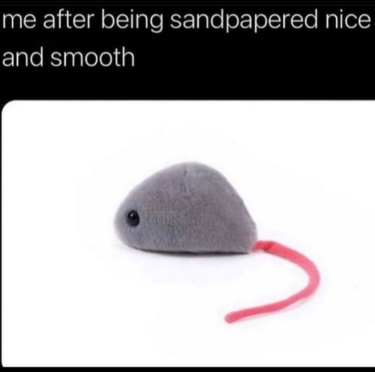 Me after being sandpapered nice and smooth.

Pictured is a grey mouse toy with no ears or nose - only a beady eye. Smooth.

sana!! via Pinterest. #rat #rats #mouse #mice #memes