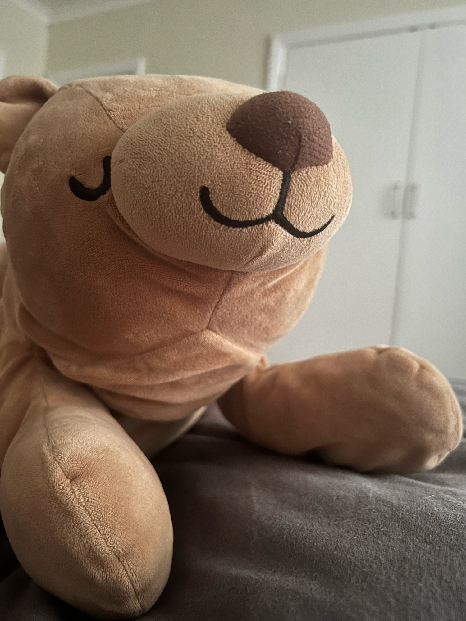 A large, weirdly shaped stuffed bear with a smug little sleepy face and floppy hands. His name is Big Snug and he is 200+ years old, according to lore.