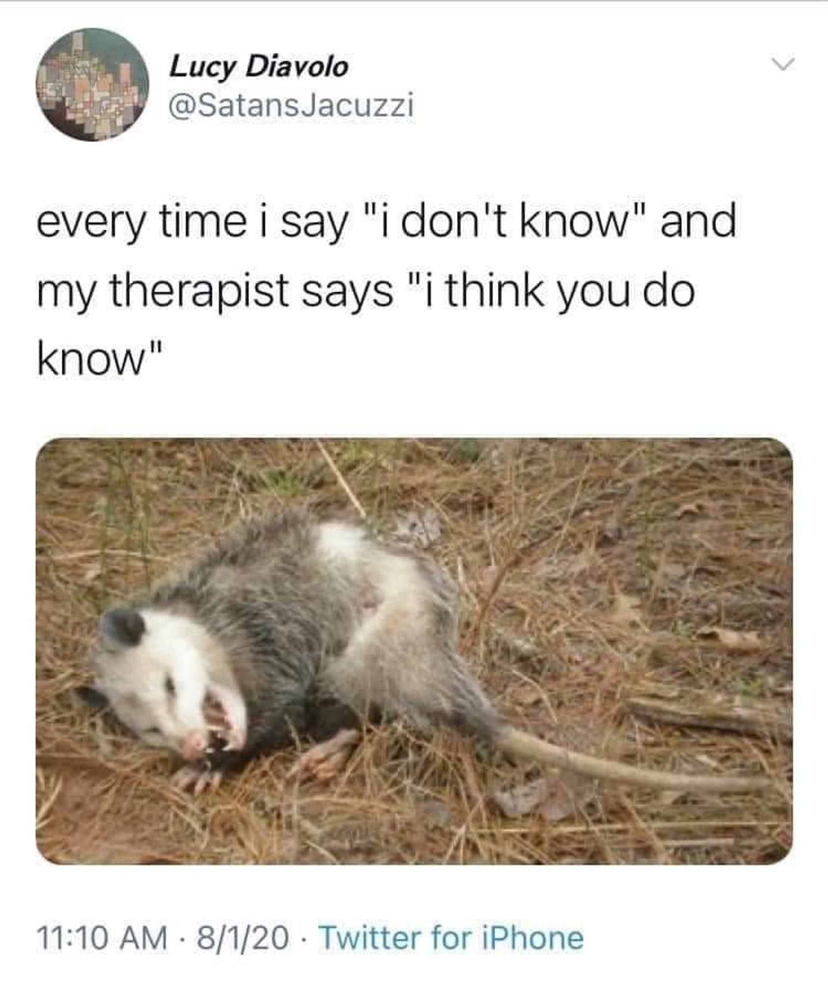 Screenshot of a tweet by user "@SatansJacuzzi" with the name "Lucy Diavolo." The tweet reads: "every time i say 'i don't know' and my therapist says 'i think you do know'." Below the text is an image of a possum lying on its side on the ground, appearing either dead or playing dead, with its mouth open, eyes closed, and limbs limp. The timestamp shows "11:10 AM · 8/1/20 · Twitter for iPhone."