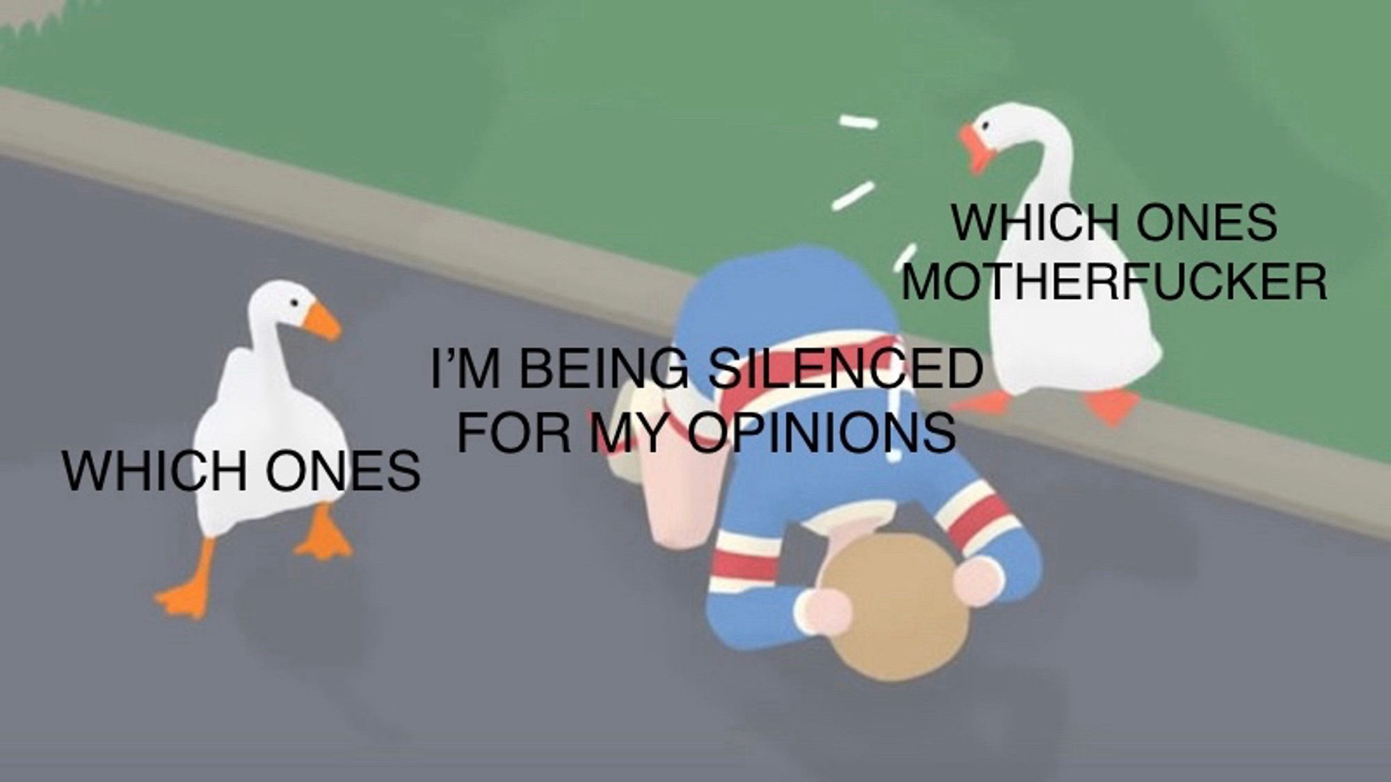 Two geese facing a child on the ground with the caption “I’m being silenced for my opinions”. The geese are labeled with “which ones motherfucker, which ones”, mimicking an argument over being silenced for opinions.