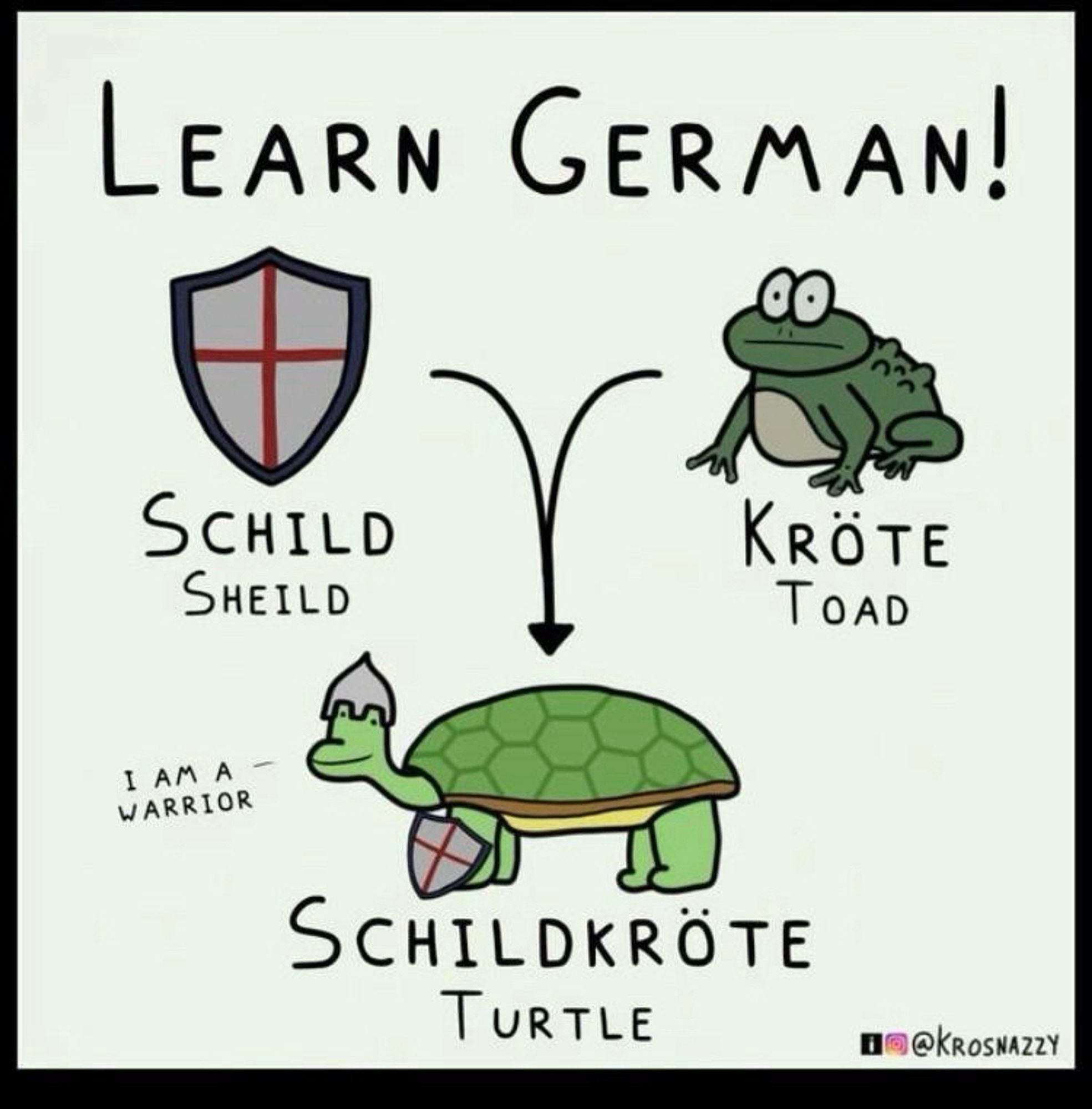 An educational illustration for learning German vocabulary with humorous visual puns. It displays the word "SCHILD" meaning shield next to an image of a shield, "KRÖTE" meaning toad beside a drawing of a toad, and "SCHILDKRÖTE" meaning turtle, shown with a turtle carrying a shield and humorously declaring "I am a warrior." The title "LEARN GERMAN!" is at the top. The artist's watermark "@krosnazzy" is visible at the bottom.