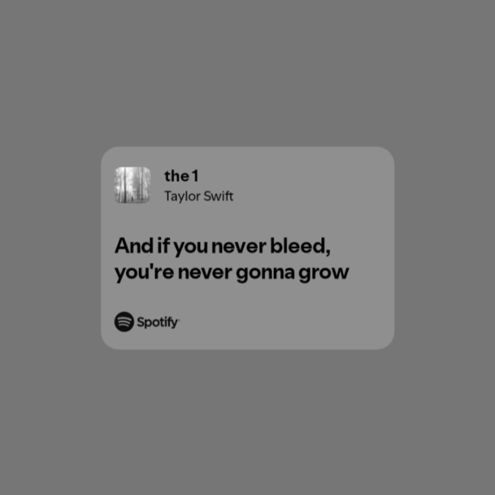 Trecho da música "the 1" de Taylor Swift: "And if you never bleed, you're never gonna grow"