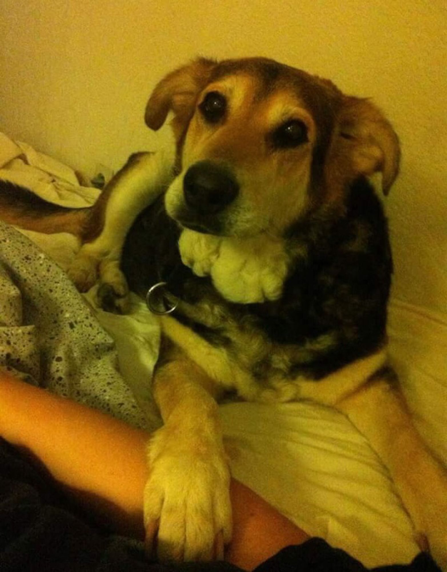 Adorable gardienne du sommeil qui dit qu’il faut dormir maintenant il est tard