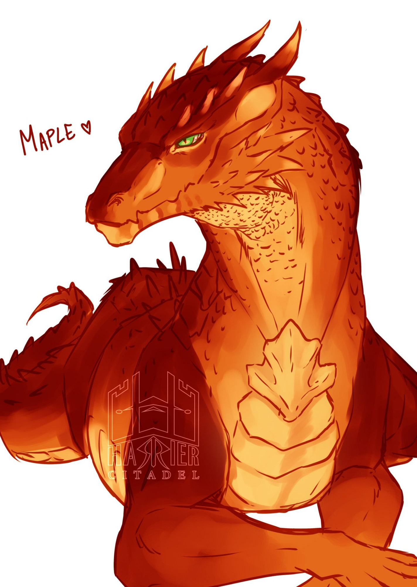 My dragon OC, Maple. He's still in development.