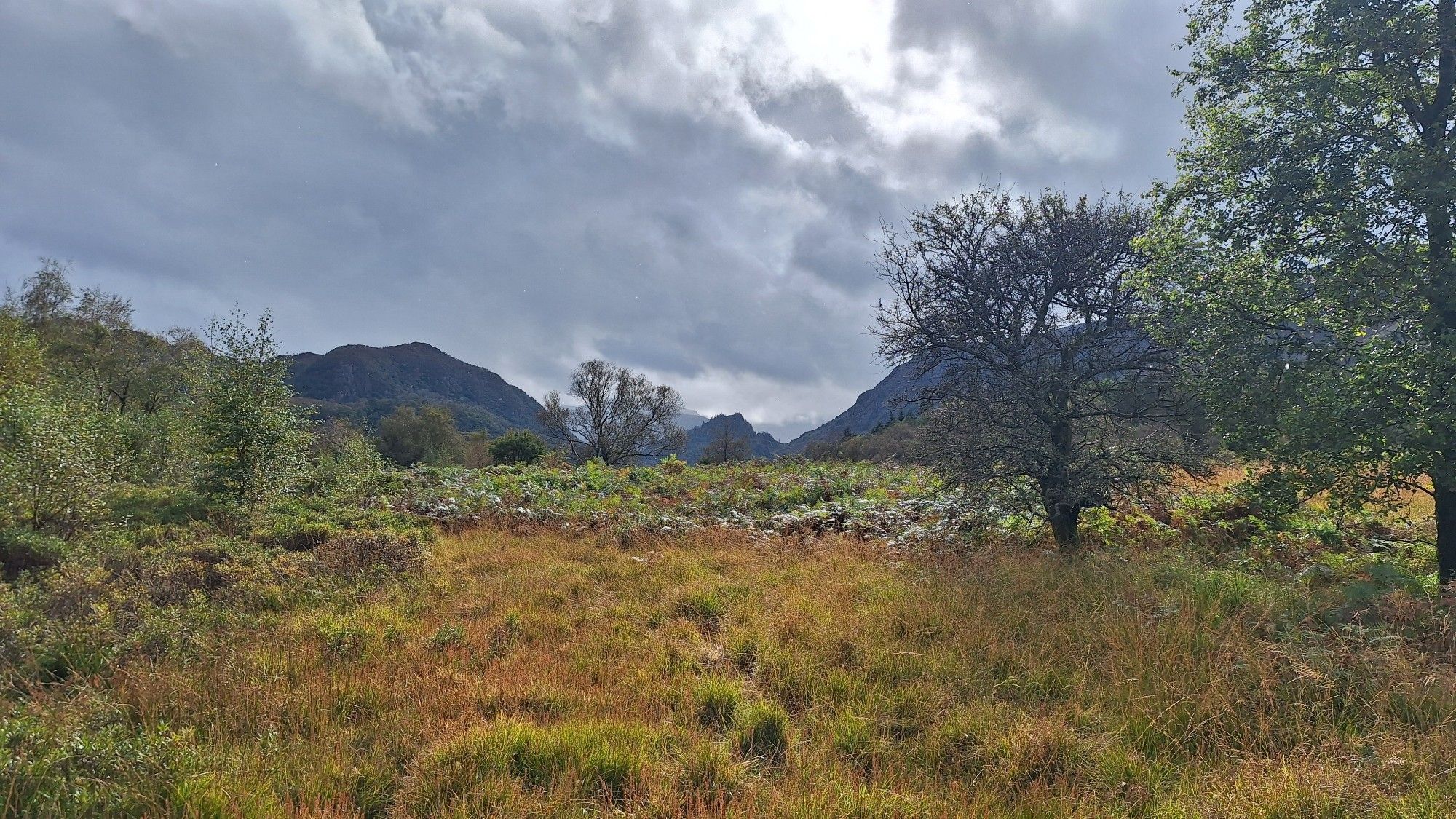 Castle Crag in the distance.