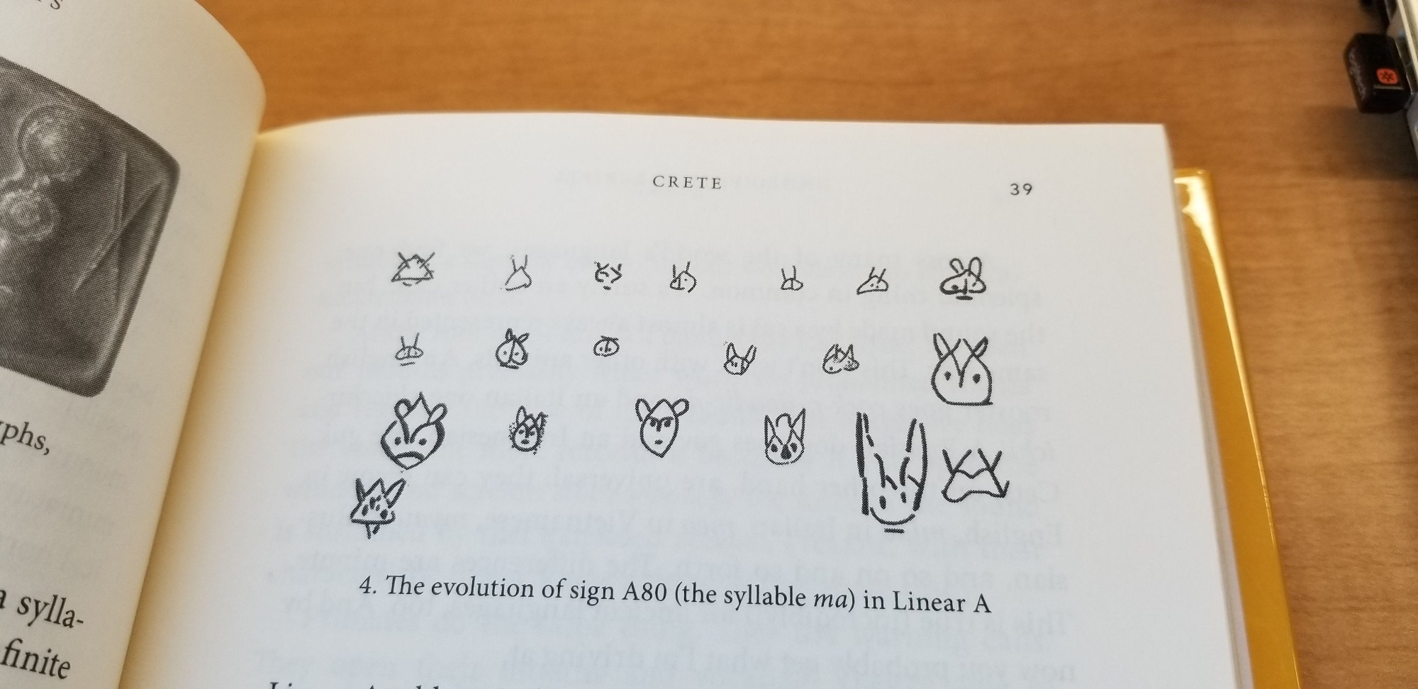 Picture of a page with cat drawings

The text bits are CRETE (for section of the book) 
39 (page number) 

4. The evolution of sign A80 (the syllable ma) in Linear A