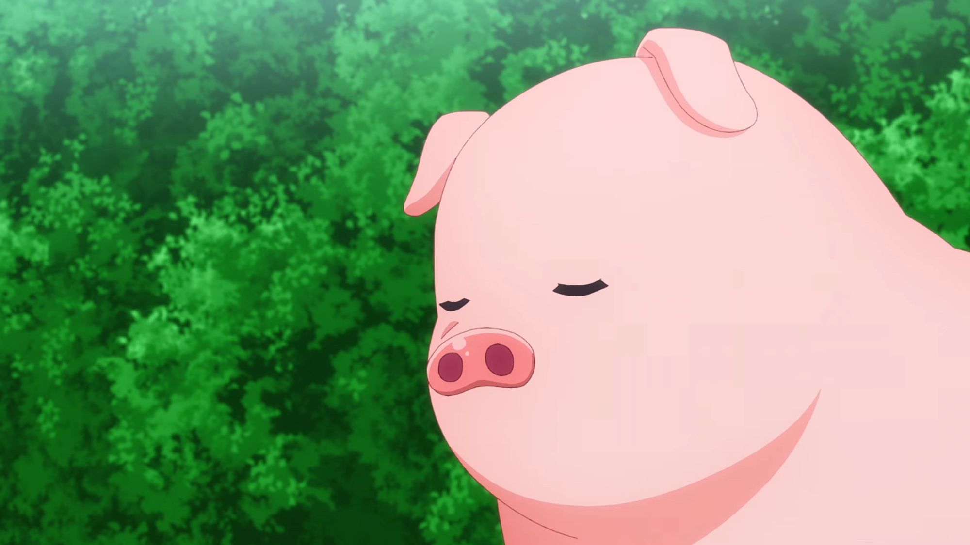 Pig from the anime series Butareba -The Story of a Man Who Turned into a Pig-