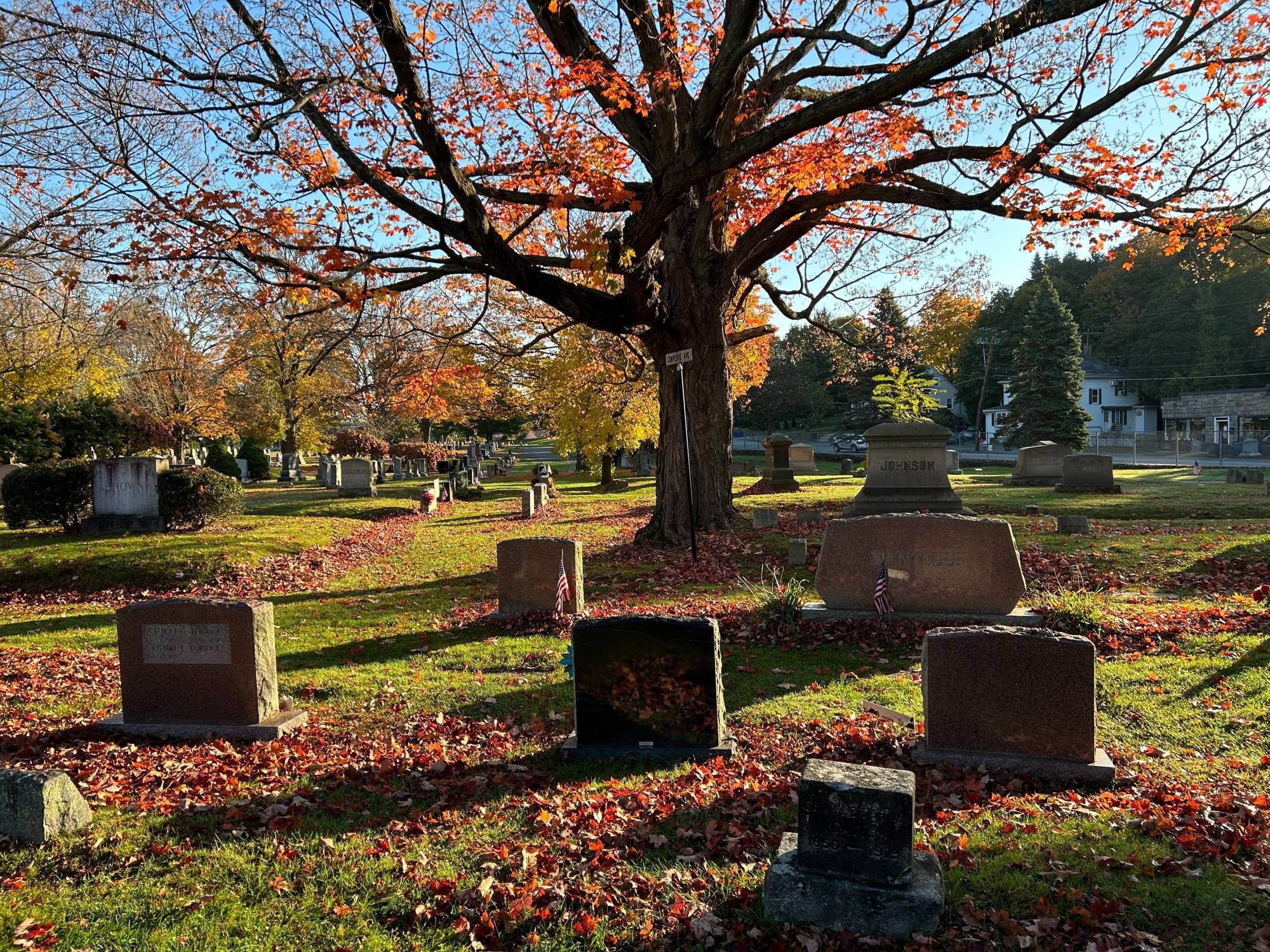 New England cemetery in fall, with old-looking square headstones and trees with leaves turning red. The child in the story thinks the headstones are corpses.