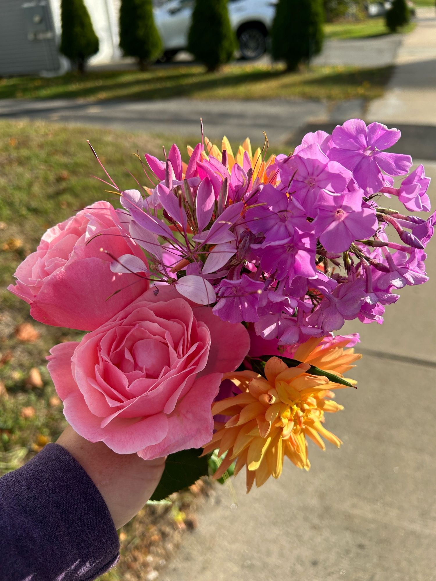 Bouquet of pink roses, yellow dahlias, purple flowers