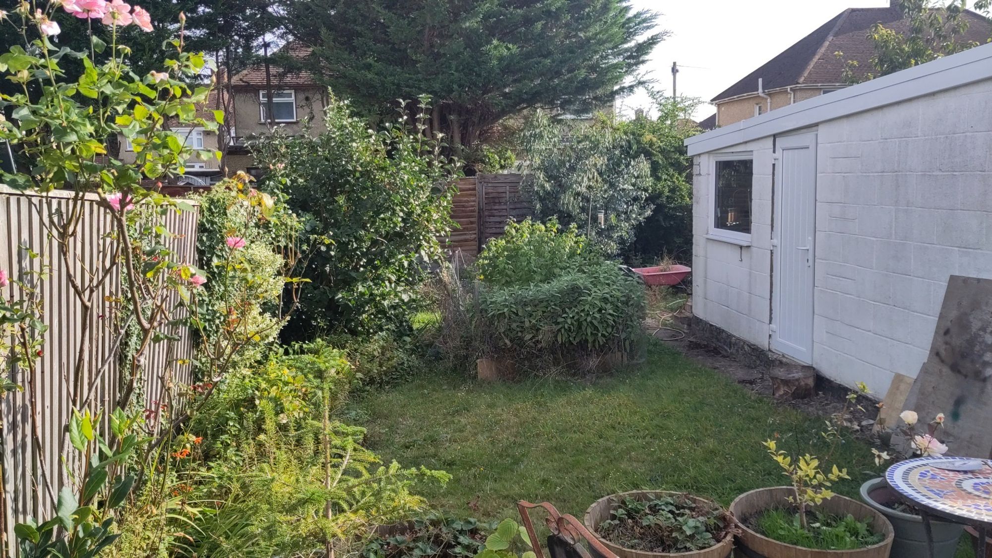 Sunny photo of a garden with lawn, whitewashed garage wall, big planters in the foreground, a pink rose, and lots of greenery.