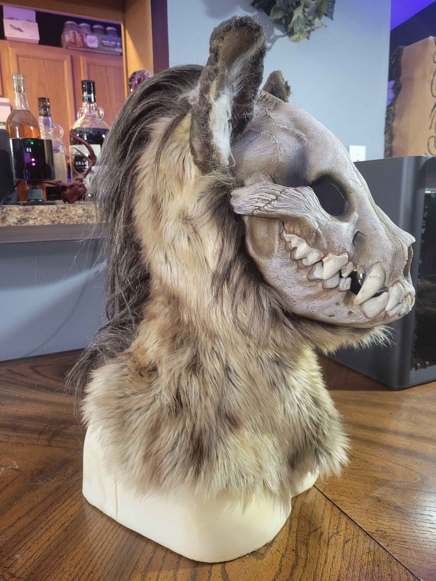 Skull hyena mask from the side profile