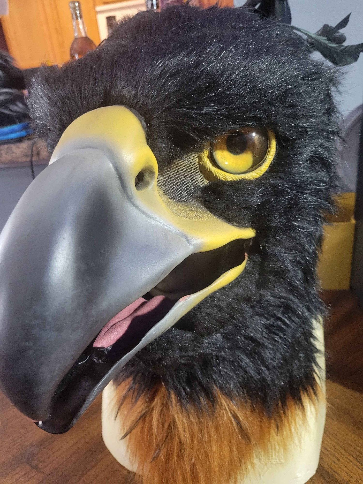 Black and Chestnut eagle mask with mouth open to show tongue