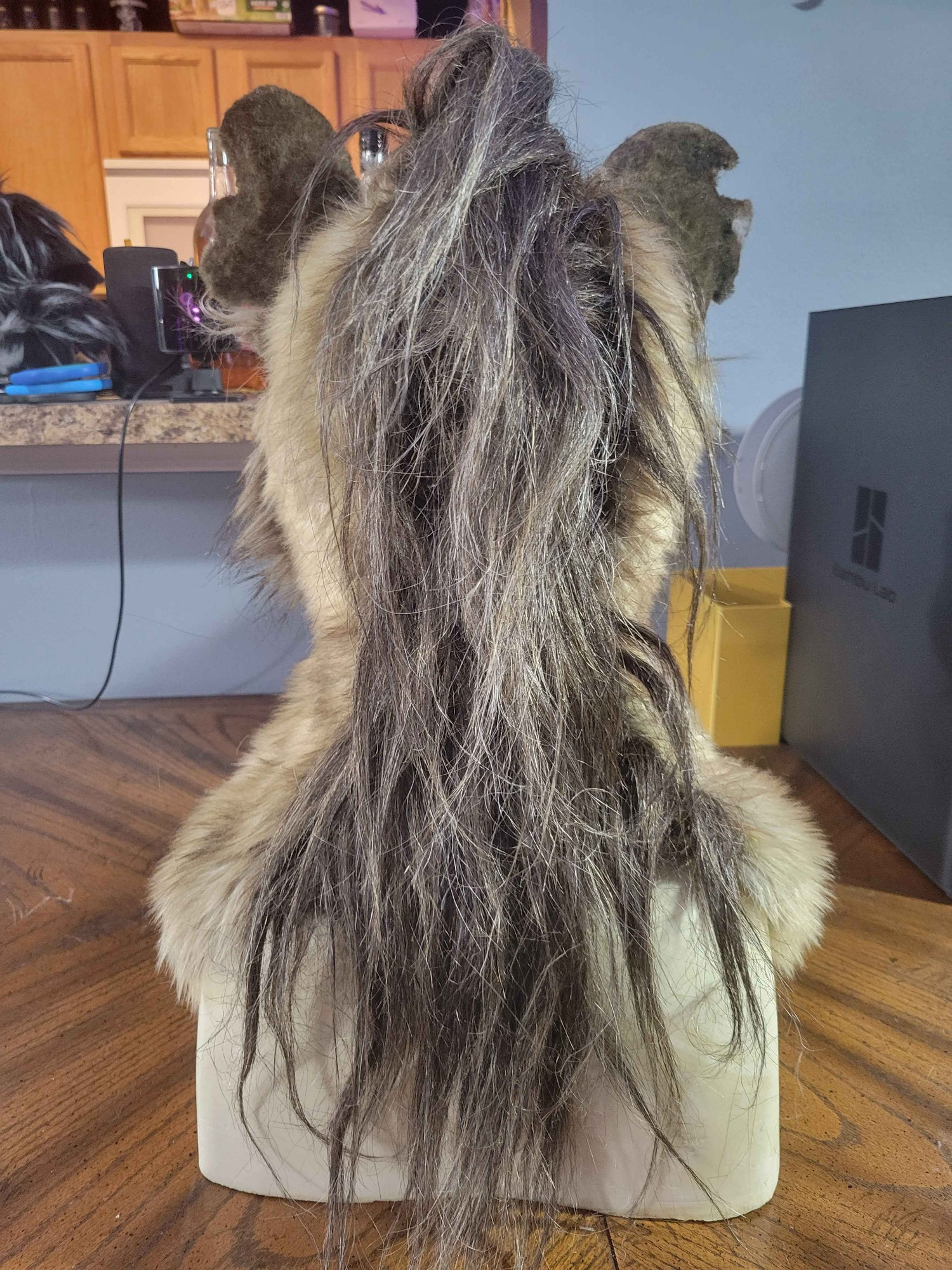 Back of skull hyena mask showing off national fiber tech mane.