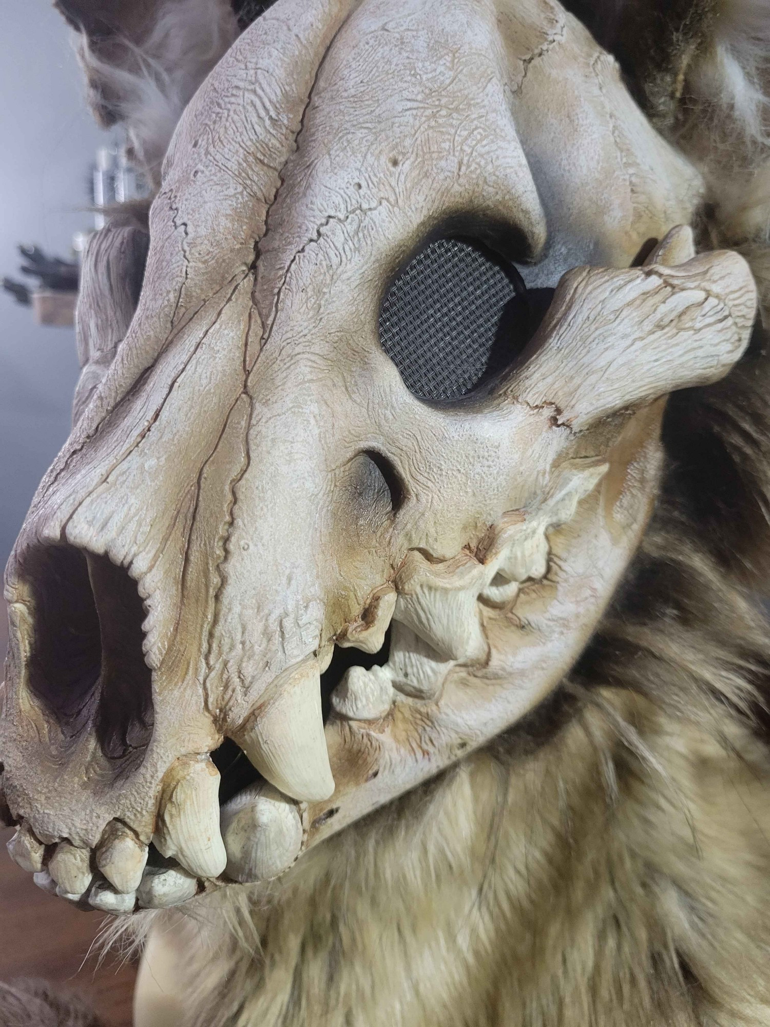 Close up of skull on undead hyena mask