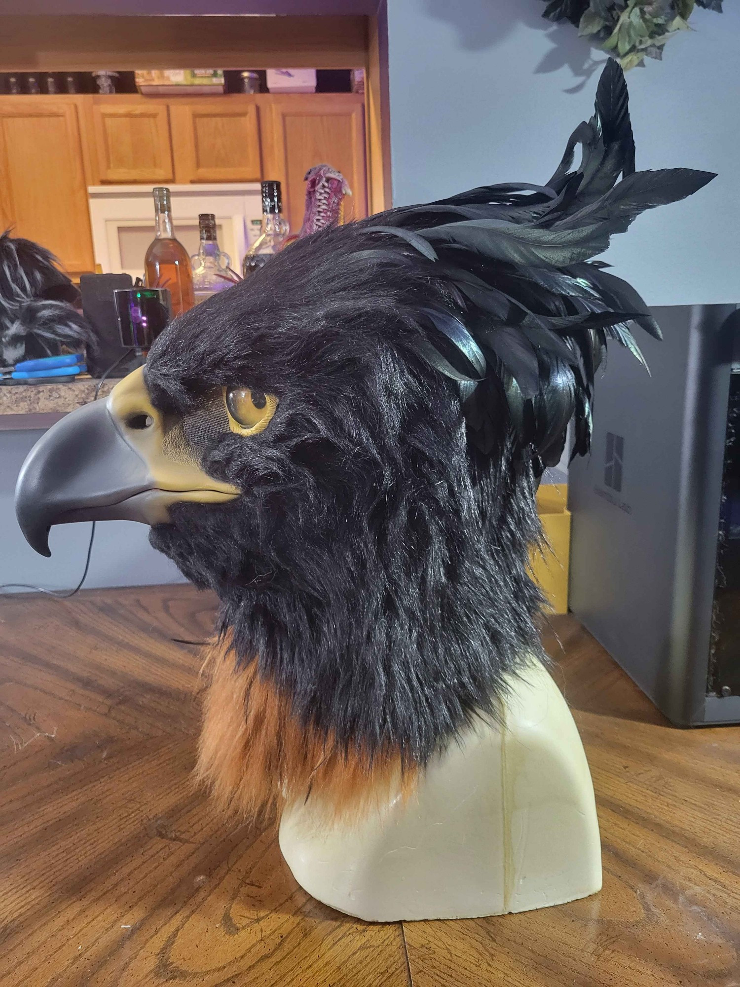 Black and Chestnut eagle mask looking left