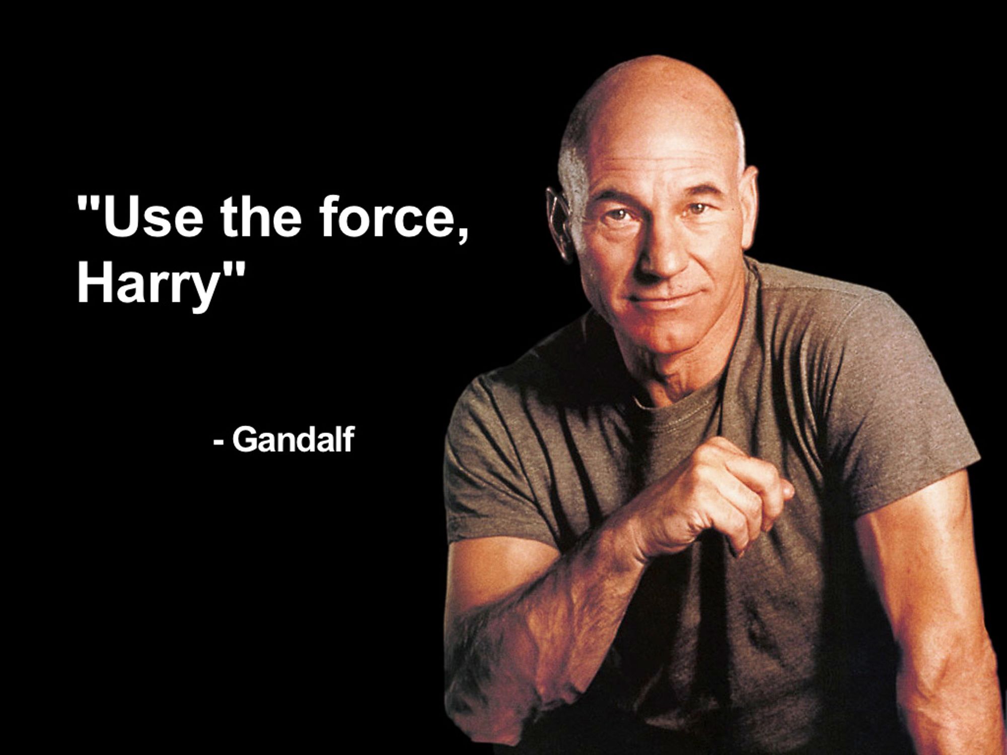 Ein Foto von Patrick Stewart als Jean-Luc Picard.

Text:

Use the force, Harry

- Gandalf