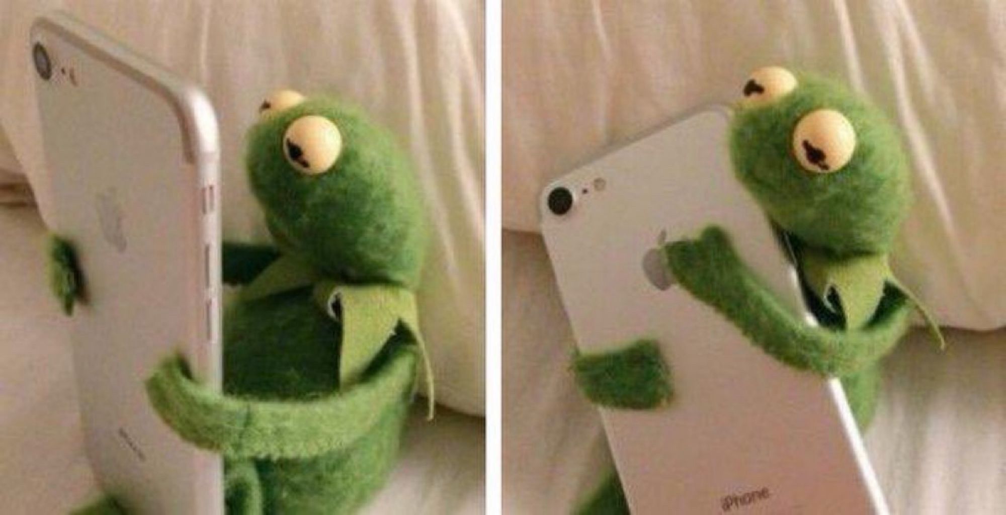 Kermit the frog hugging a cell phone.