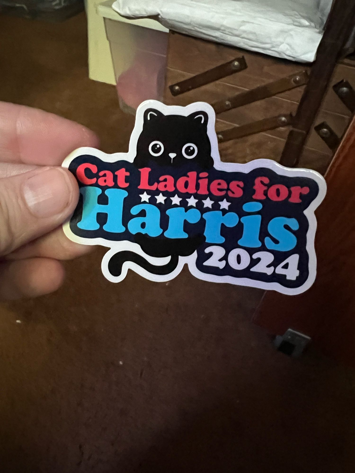 Hand holding a sticker that says Cat Ladies for Harris 2024