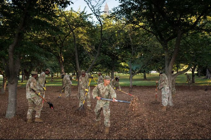 National Guard troops spread mulch around the Tidal Basin on Tuesday morning in Washington. (Tom Brenner/For the Washington Post )
