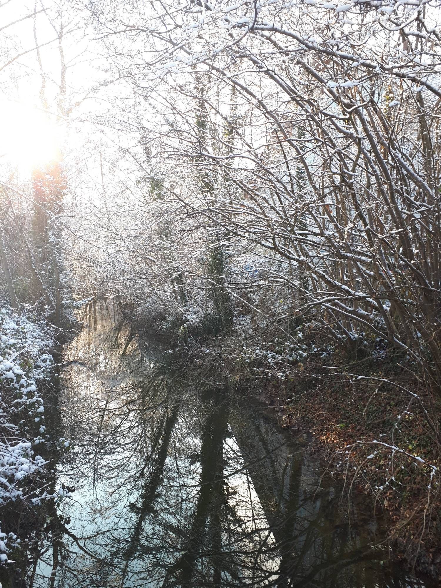 Im Bach spiegeln sich die winterlichen Bäume und Sträucher.