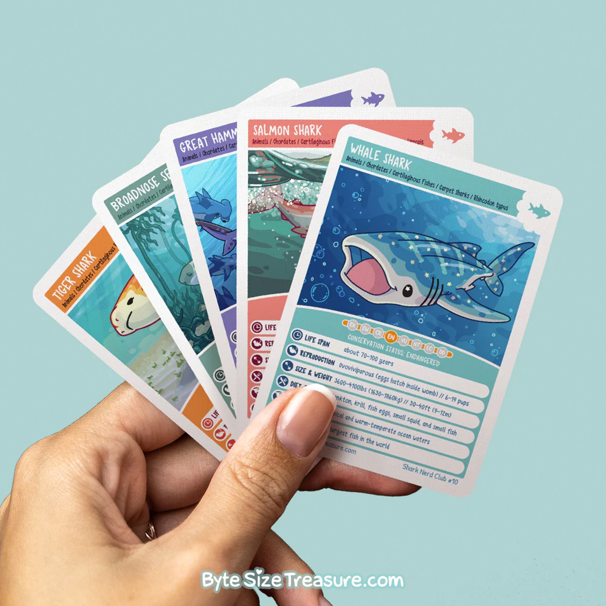 A hand holding 5 trading cards. Each card features a different shark species with fun facts and original artwork by ByteSizeTreasure