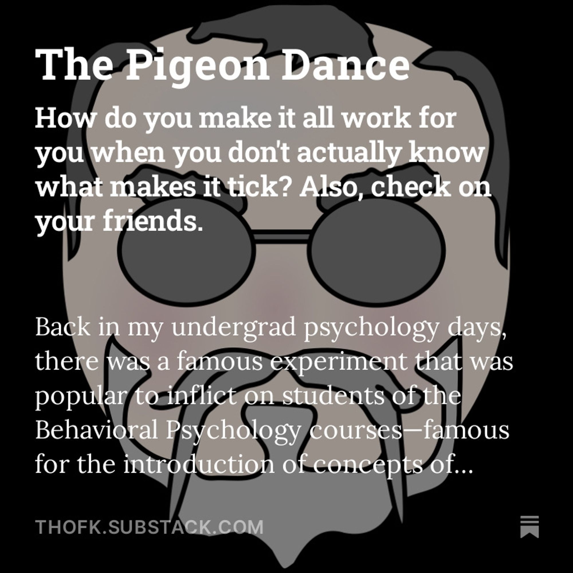 Promo image: The Pigeon Dance: "How do you make it work for you when you don't actually know what makes it tick? Also, check on your friends."