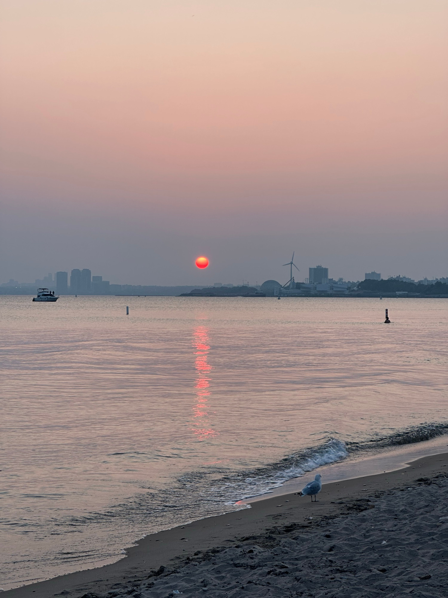 A hazy sunset seen across an angle of Lake Ontario from Hanlan’s Point beach. The sun is like a drop of watercolour.