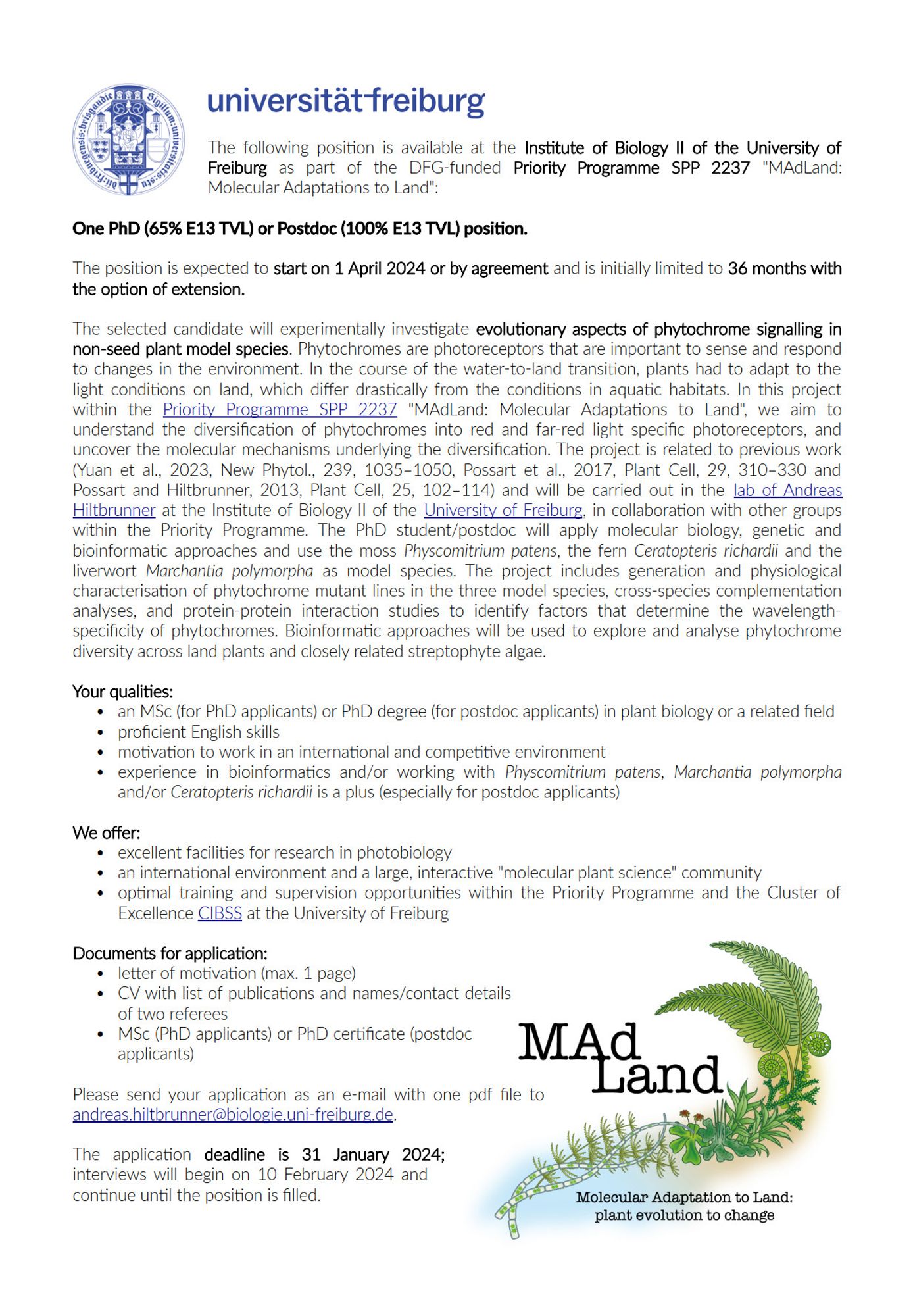 One PhD (65% E13 TVL) or Postdoc (100% E13 TVL) position.
The position is expected to start on 1 April 2024 or by agreement and is initially limited to 36 months with 
the option of extension.
The selected candidate will experimentally investigate evolutionary aspects of phytochrome signalling in 
non-seed plant model species. Phytochromes are photoreceptors that are important to sense and respond 
to changes in the environment. In the course of the water-to-land transition, plants had to adapt to the 
light conditions on land, which differ drastically from the conditions in aquatic habitats. In this project 
within the Priority Programme SPP 2237 "MAdLand: Molecular Adaptations to Land", we aim to 
understand the diversification of phytochromes into red and far-red light specific photoreceptors, and 
uncover the molecular mechanisms underlying the diversification. The project is related to previous work