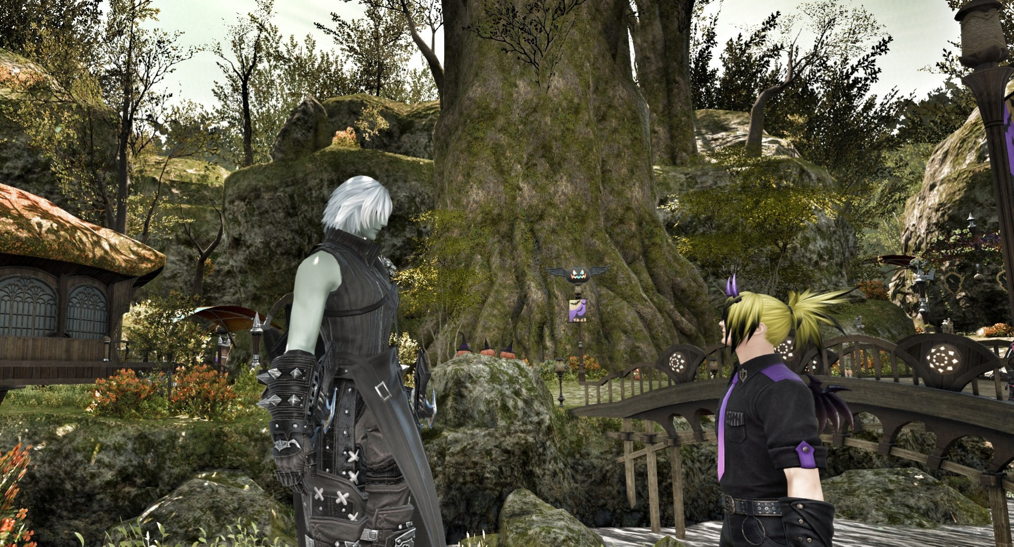 Philcox, small human appearing person, staring up at a very tall roegadyn woman. 