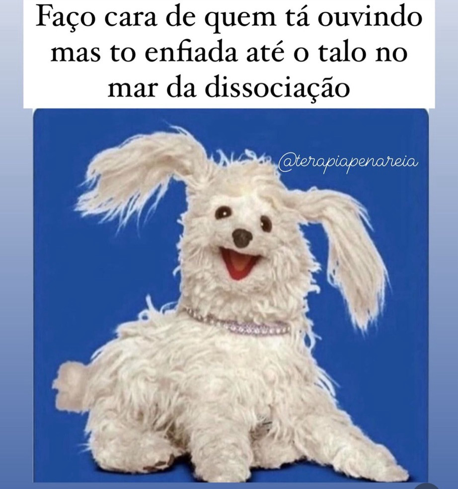 Boneco de cachorro poodle (?) branco com a cabeça de lado, sorrindo com boca aberta, orelhas longas e saindo de sua cabeça de maneira caótica como se fossem tentáculos*. 
Ao fundo, a frase: "Faço cara de quem está ouvindo tudo, mas to enfiada até o talo no mar da dissociação"

*A melhor maneira q consigo descrever é: imagine que você deixou o boneco de pelúcia do poodle nas mãos do seu primo hiperativo de 9 anos q arrastou o boneco para todos os lugares em que foi nos últimos 6 meses.