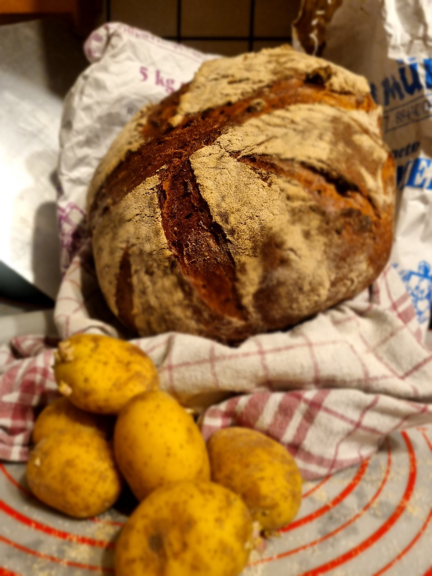 Ein selbstgebackenes Kartoffelnrot liegt in einem Gärkorb mit einem weißen Leinentuch mit roten Streifen.
Davor ein paar kleine Kartoffeln.