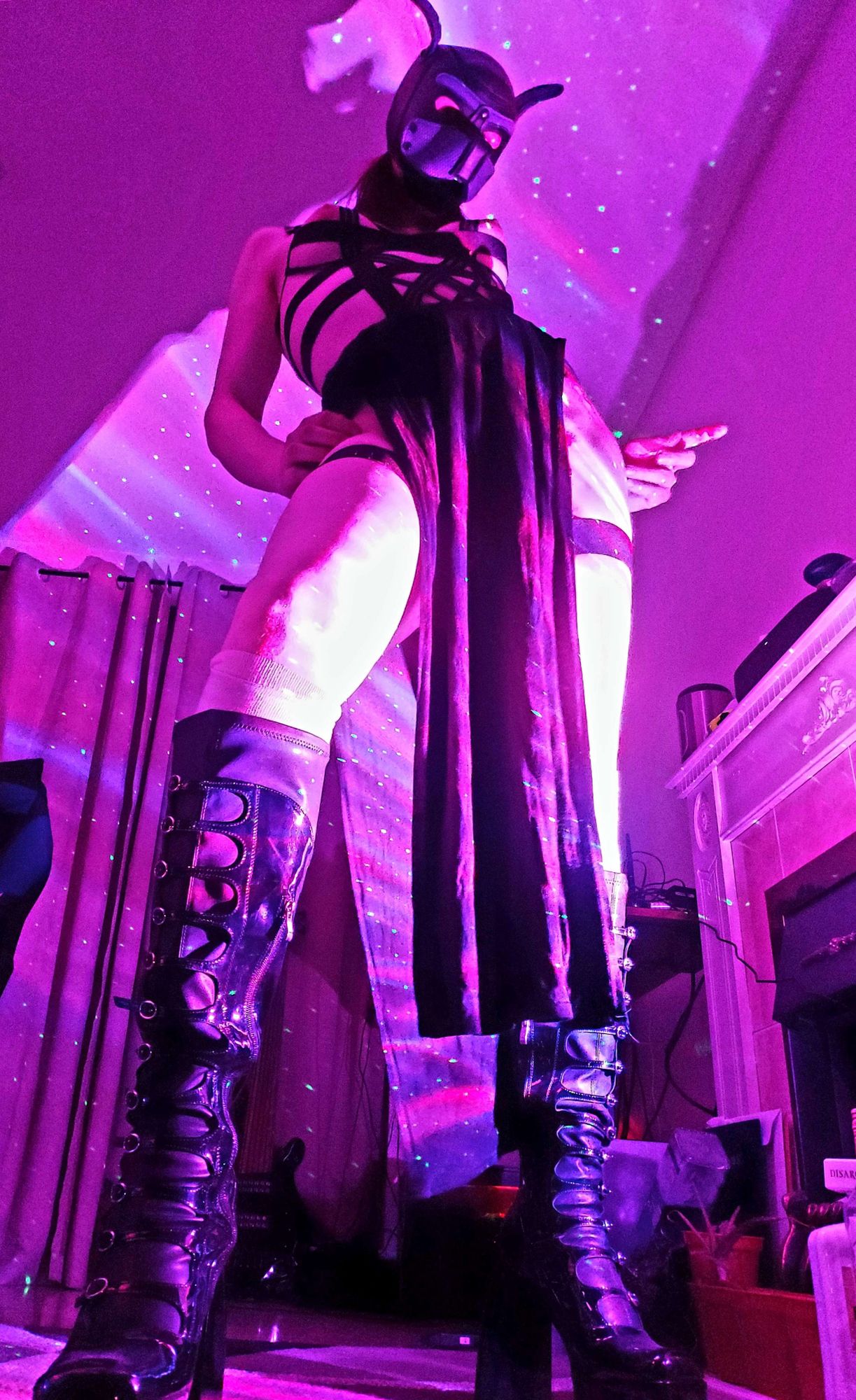 NSFW, suggestive: "The Queen of the Damned approves of your pup play!"

A low camera angle of myself in heel boots, loincloth, body cage, and a pup hood with purple lighting.