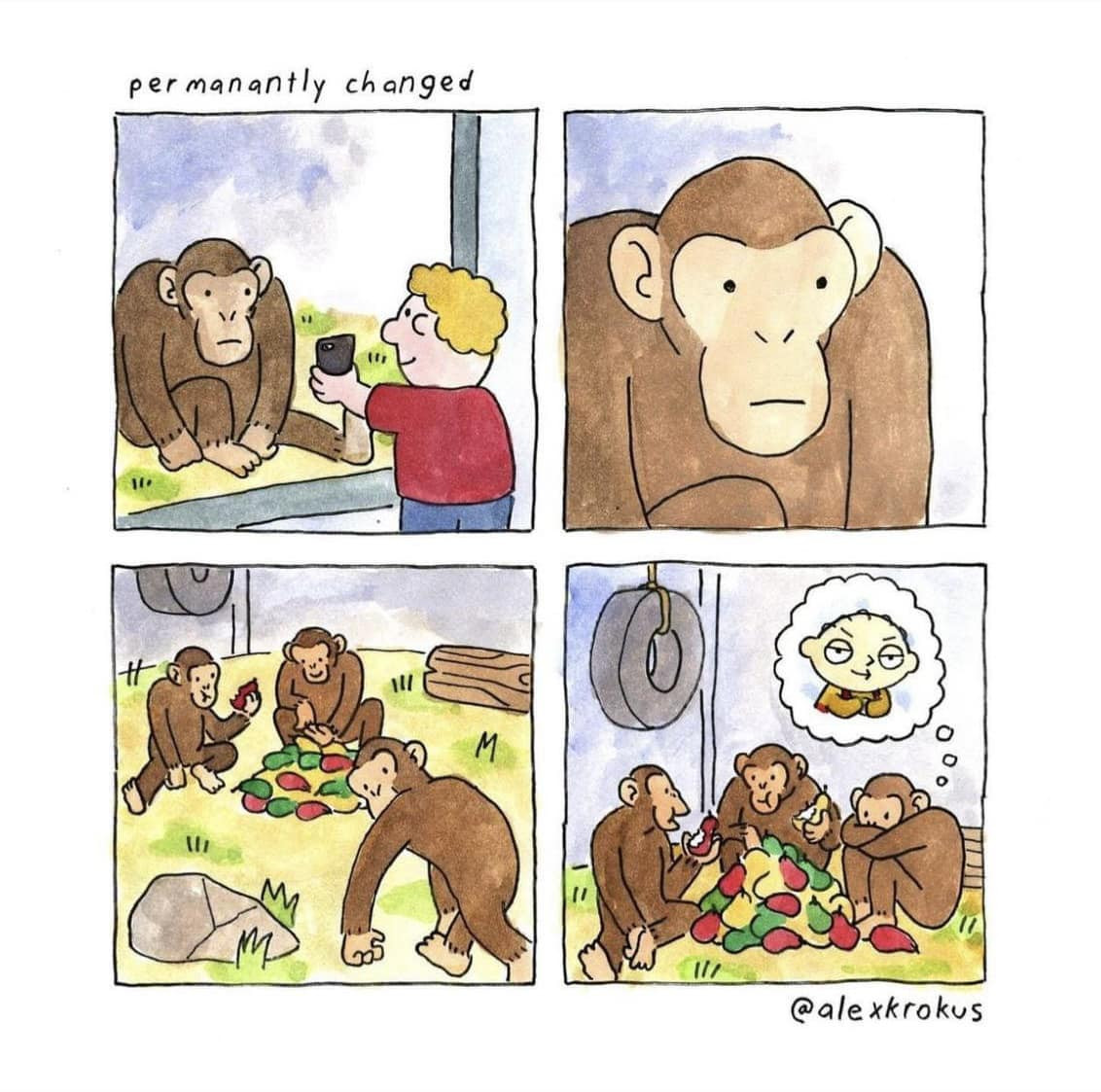 Four Panel comic by @alexkrokus

First panel is a child showing a monkey their cellphone.
Second panel is a close-up of the monkey staring intently.
Third panel is the monkey returning to his group, but staring over his shoulder back to the window.
Fourth panel is him sitting with two other monkeys eating fruits, but he is curled up, deep in throught. The bubble over his head is him imagining Stewie Griffin.