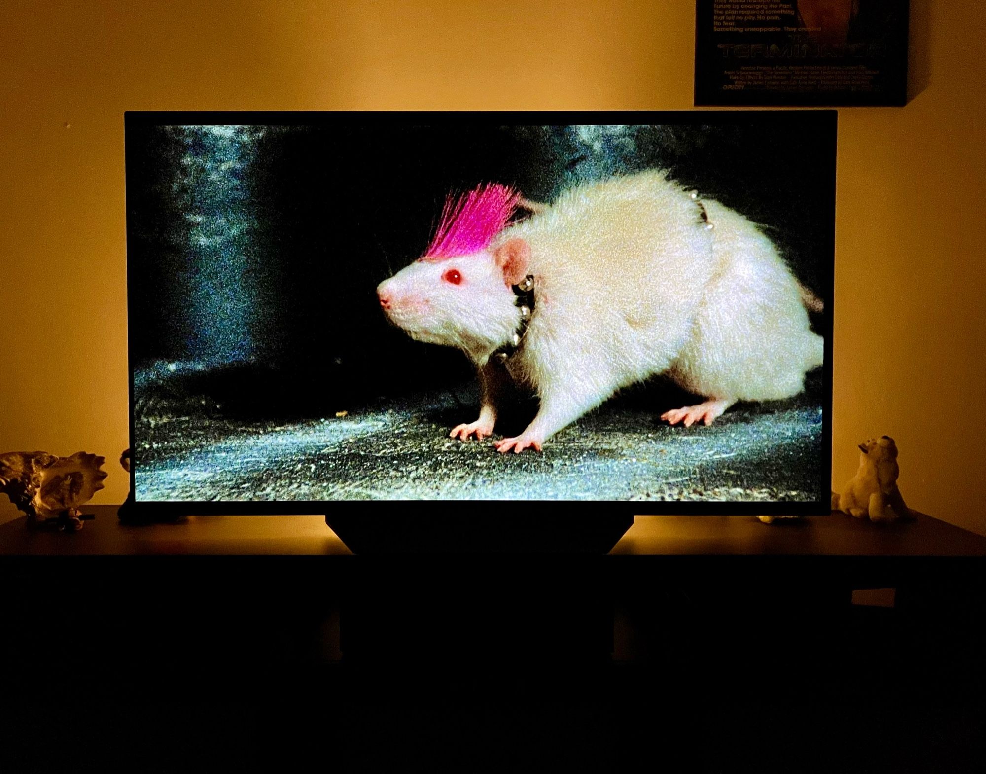 A TV showing the movie Elvira: Mistress of the Dark. The shot is of a white rat with a pink mohawk and wearing a studded collar and belt.