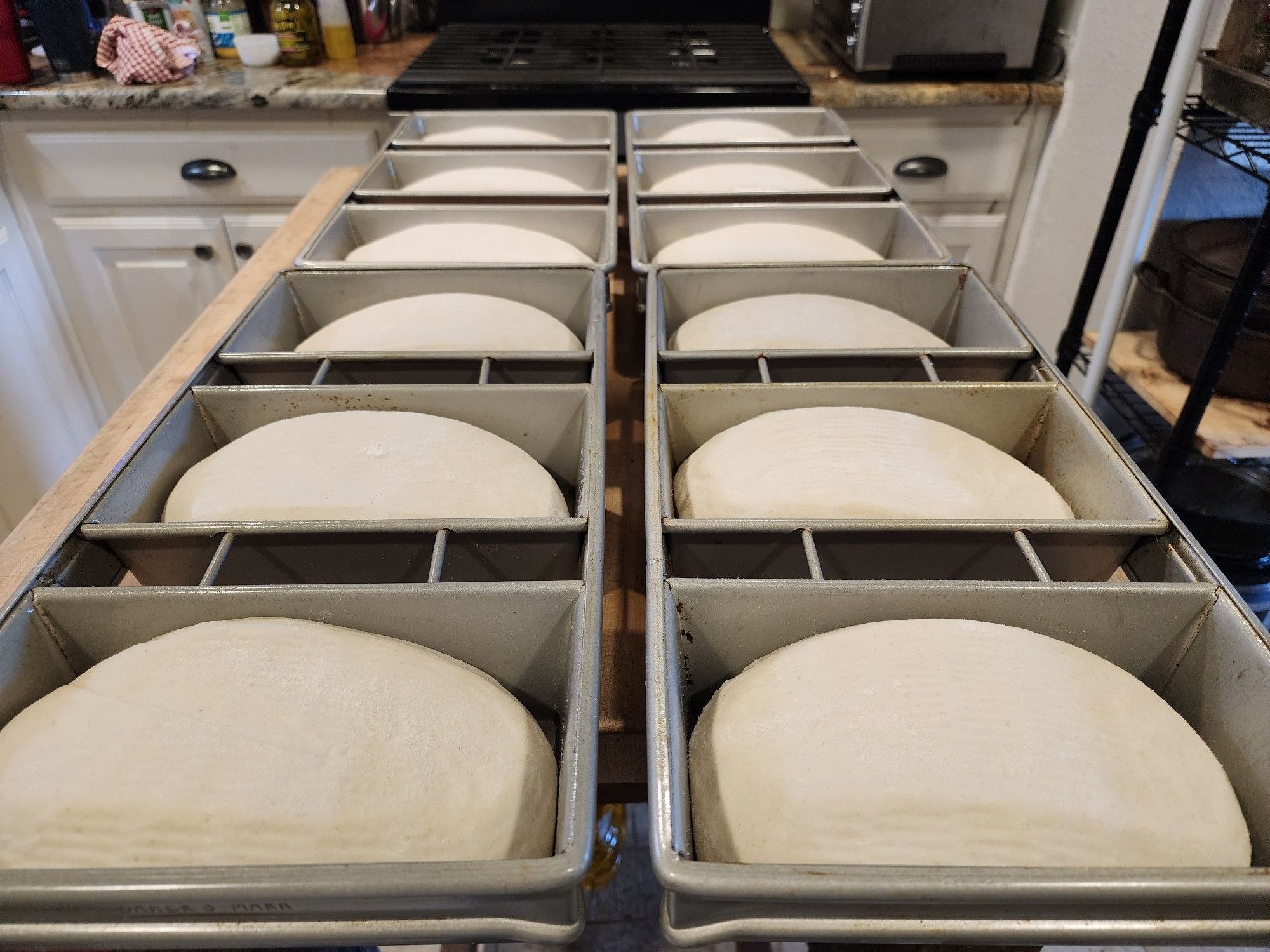 12 doughs, in loaf pans