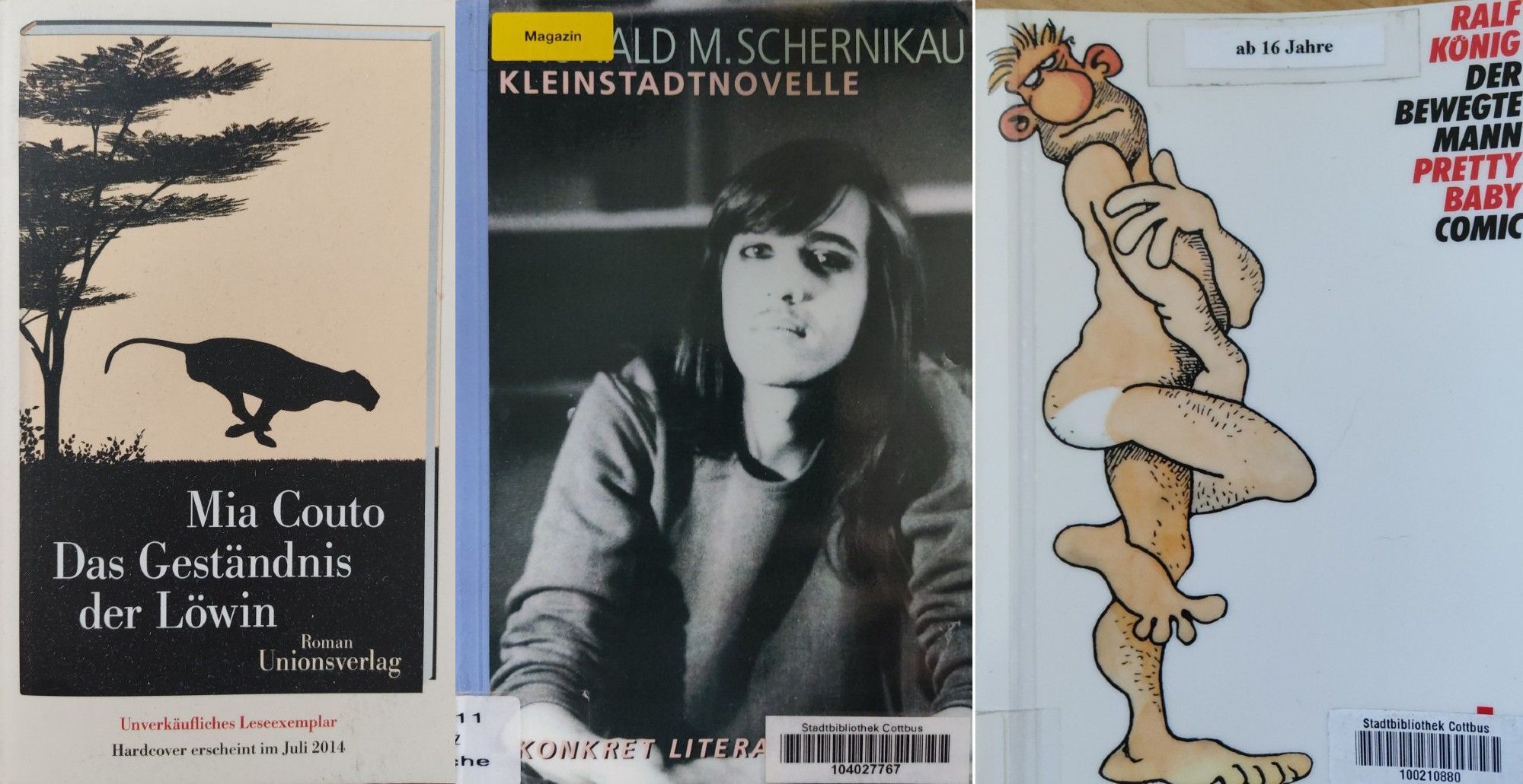 Covers of Das Geständnis der Löwin, Kleinstadtnovelle, and Der bewegte Mann | Pretty Baby