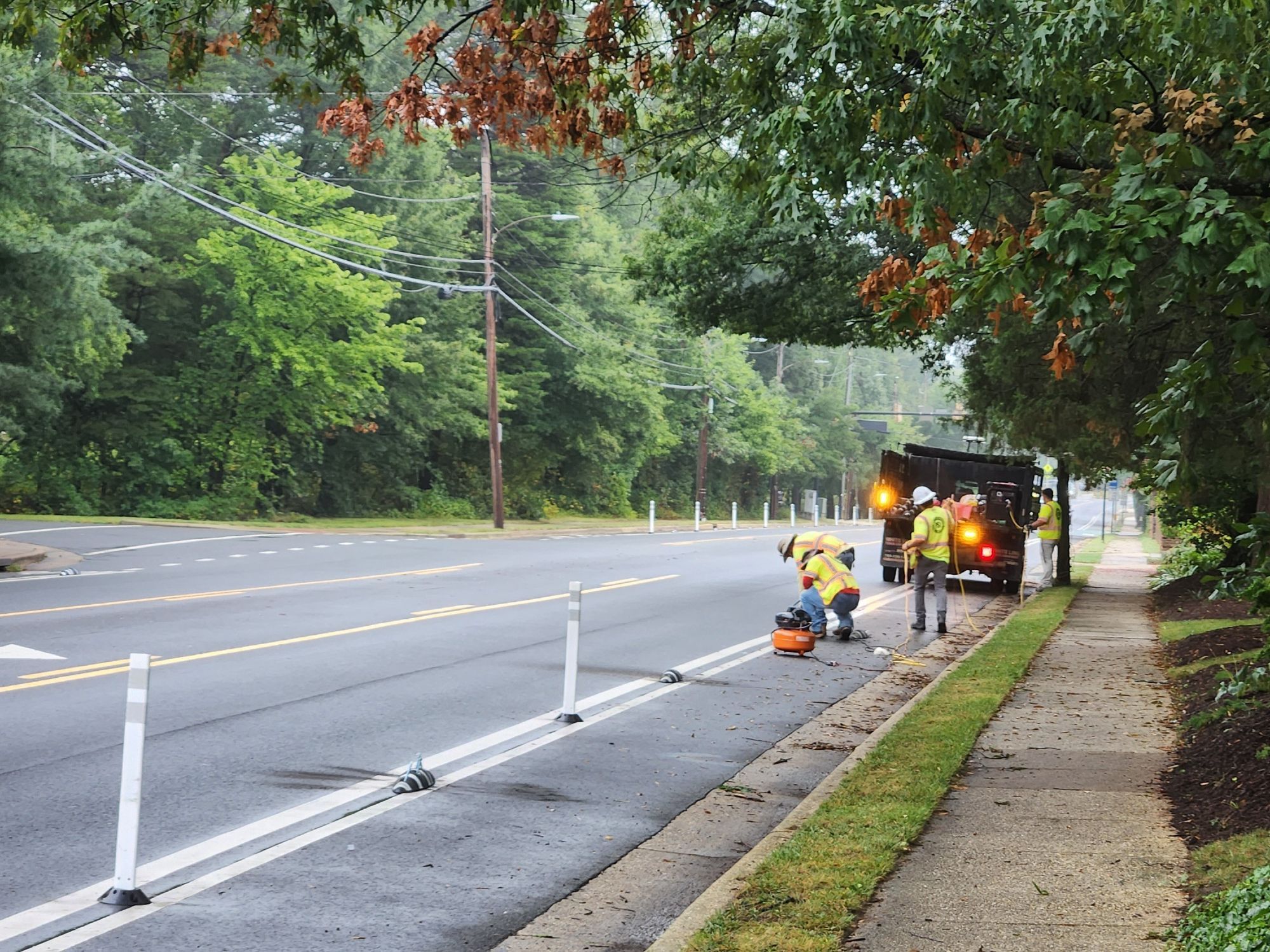 Crews installing flex posts for protected bikes lanes on east-bound Seminary Road on 08/30/2024