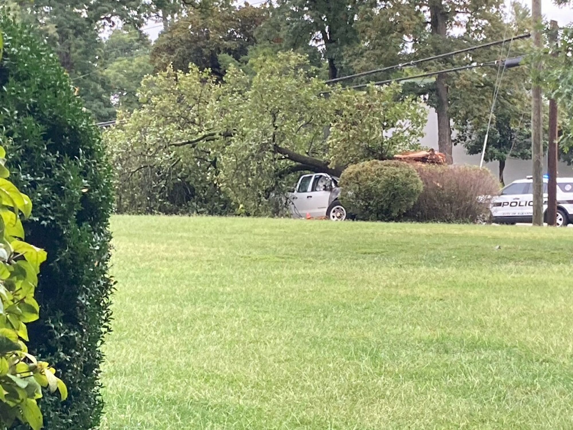 Crashed vehicle on VTS property off Seminary Road, near St. Stephens Road, with a tree on top of the vehicle