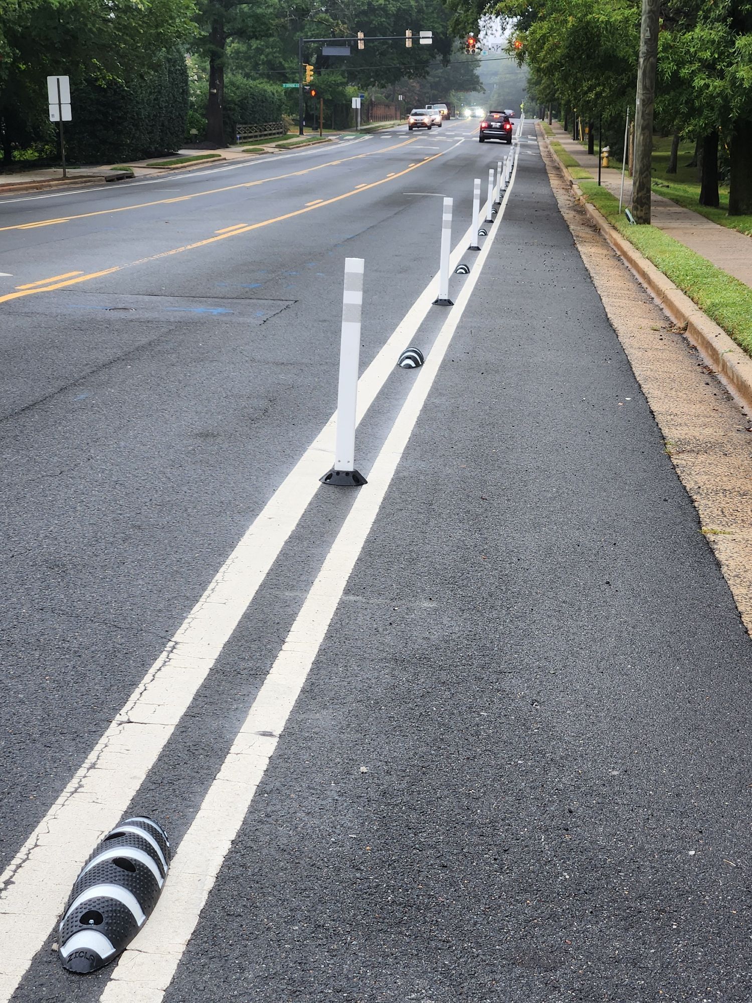 West-bound protected bike lanes on Seminary Road as of 08/30/2024