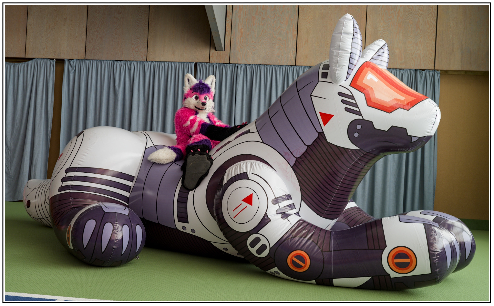 A pink fox sitting on the back of a giant inflatable mechanical looking wolf, the fox seems to having fun!