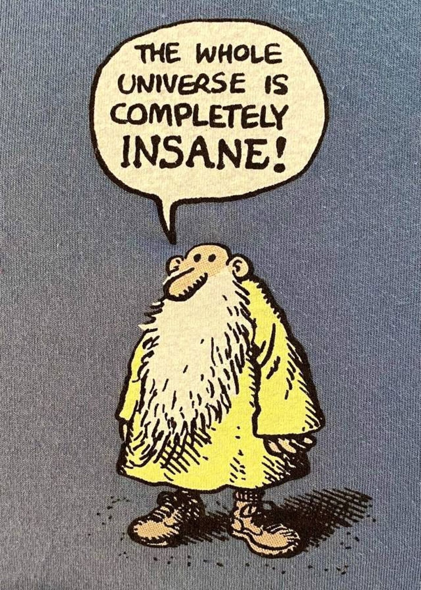 R. Crumb's character Mister Natural comic book panel showing Mr Natural standing facing us. He is bald, with a long beard, wearing a yellow smock and boots. The speech balloon says: "THE WHOLE UNIVERSE IS COMPLETELY INSANE!" in all-caps, which doesn't imply shouting in this context.