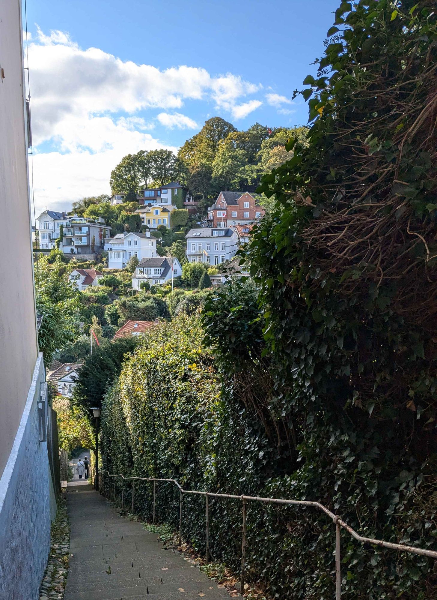 Stufen im Blankeneser Treppenviertel, im Hintergrund Häuser am Elbhang, grüne Bäume und blauer Himmel